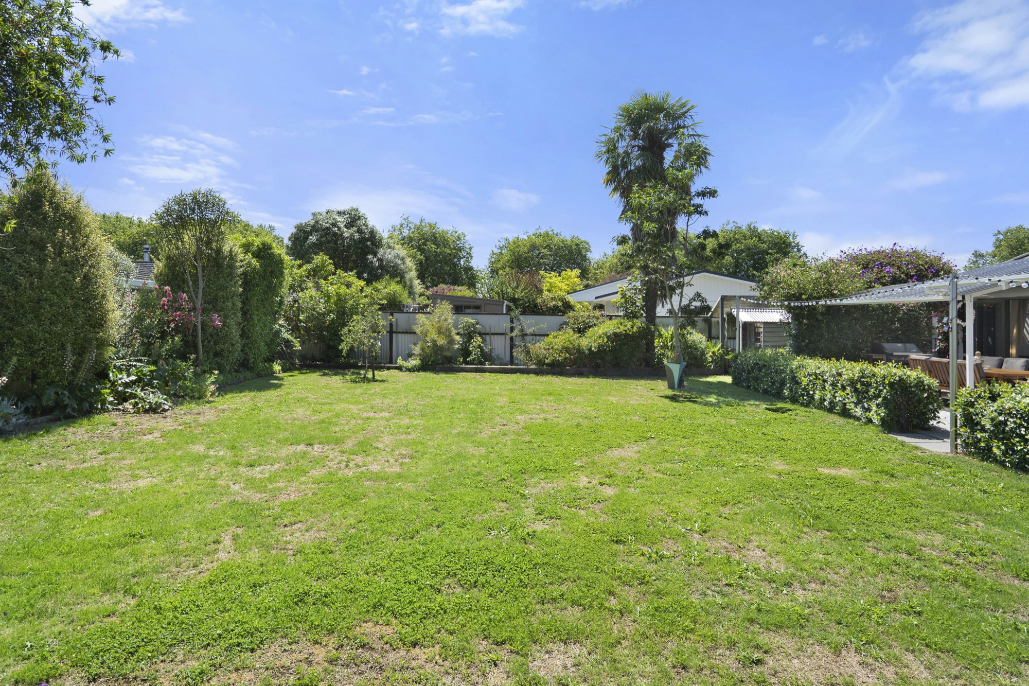 backyard