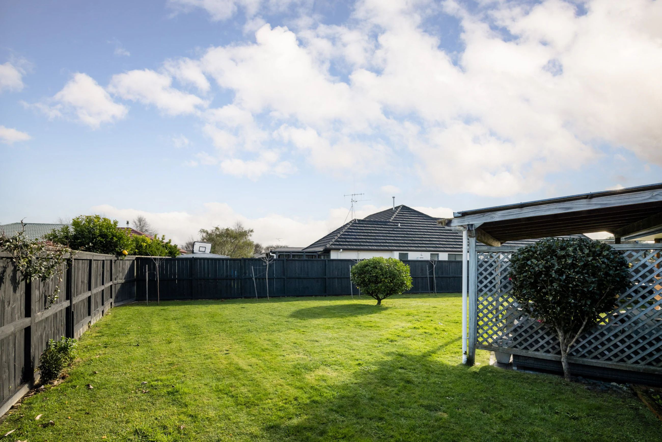 backyard