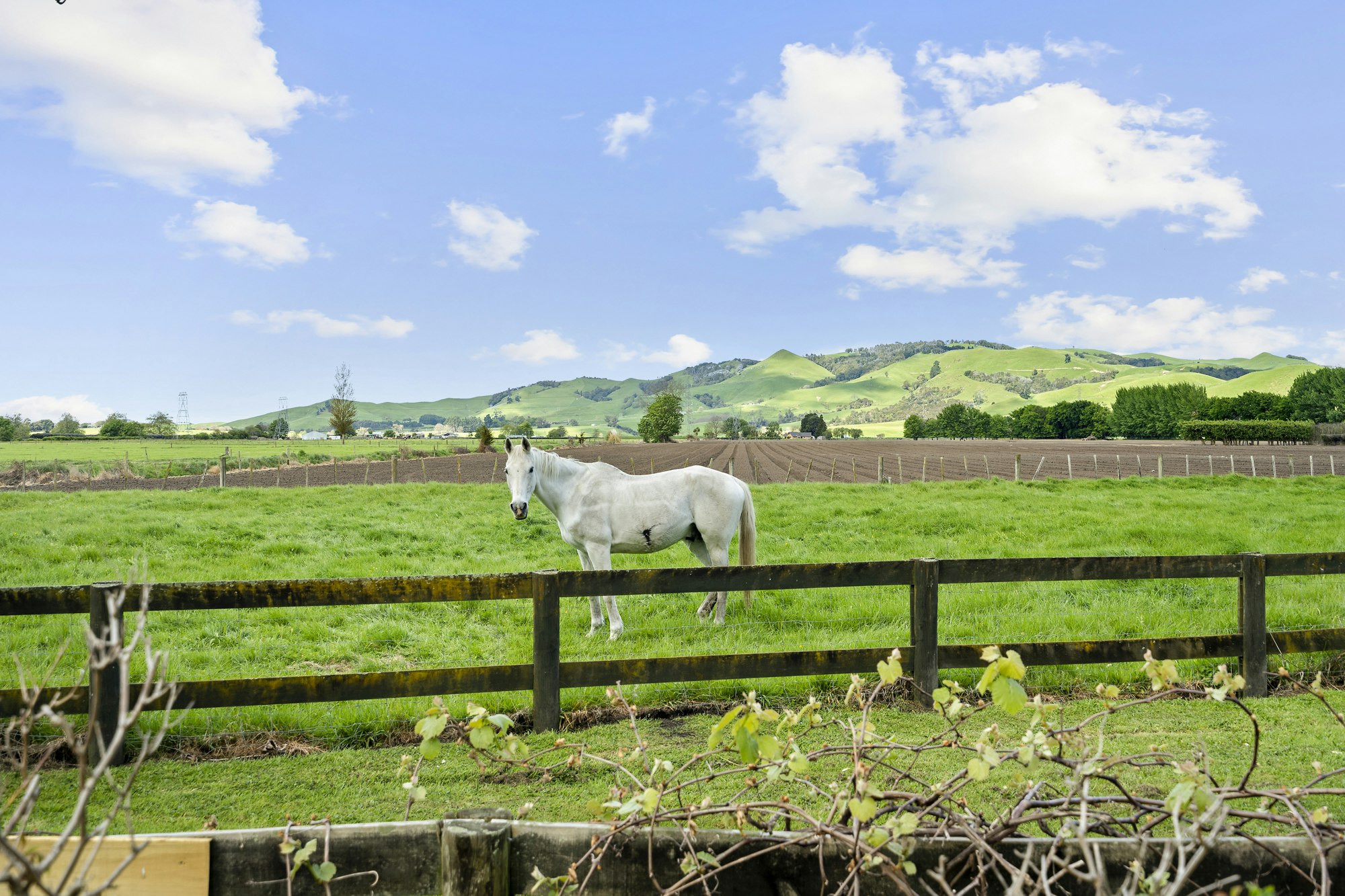 countryside
