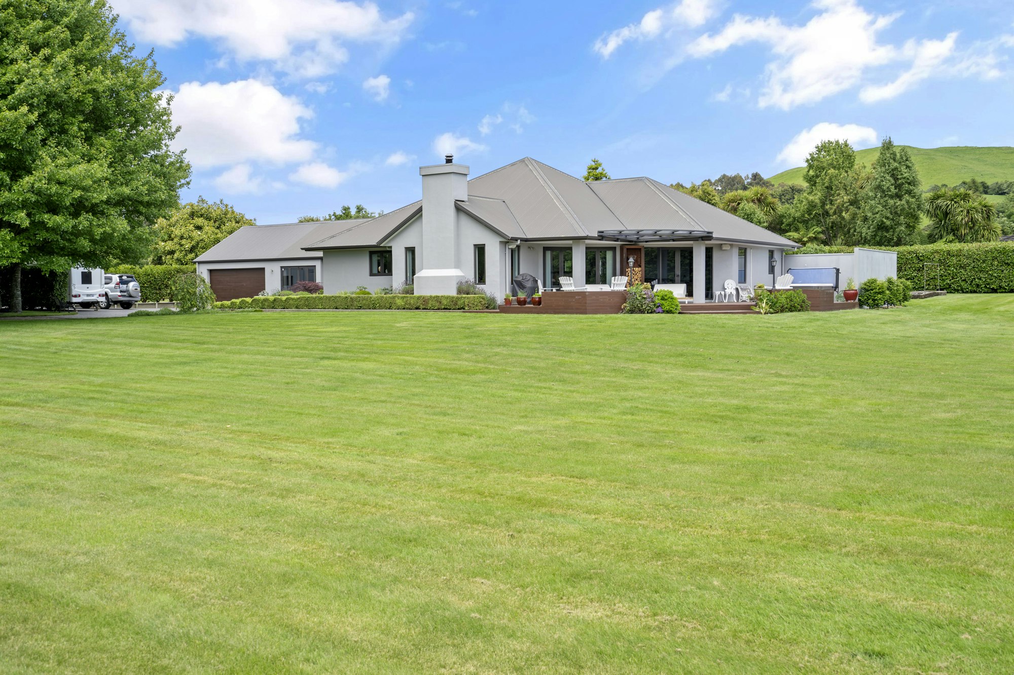grass