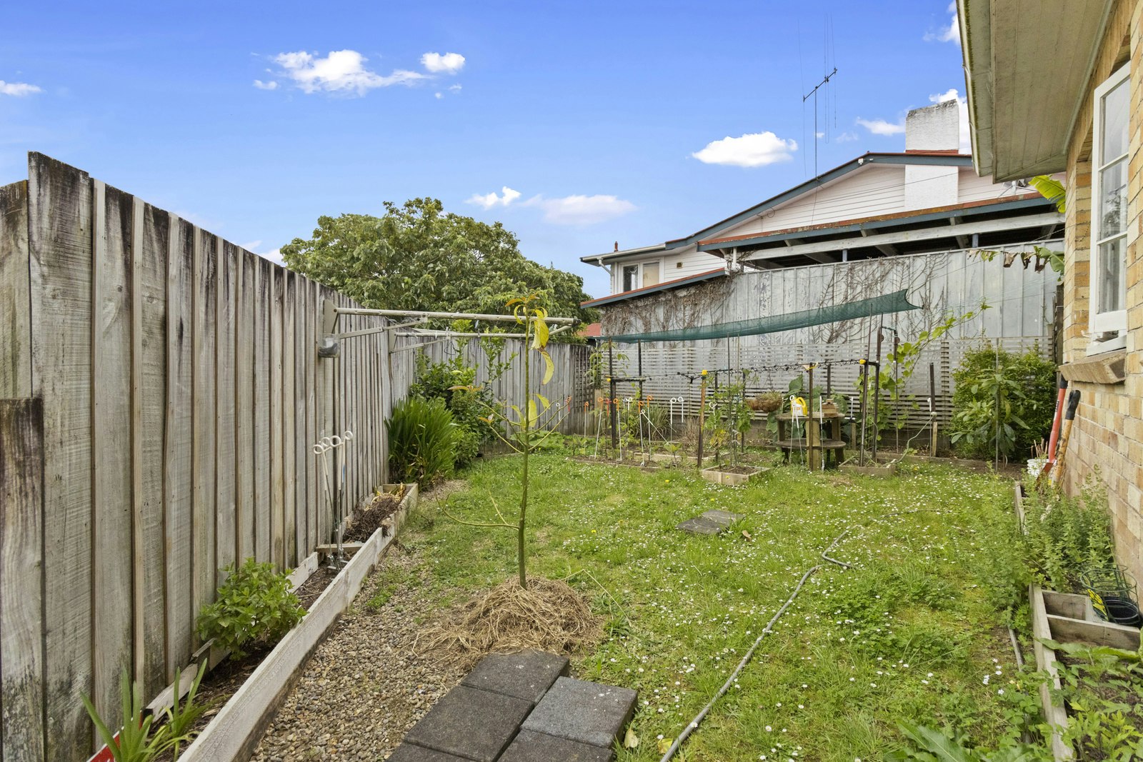 backyard