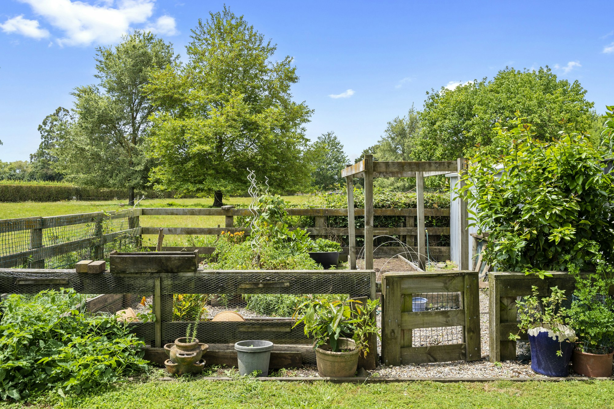 garden