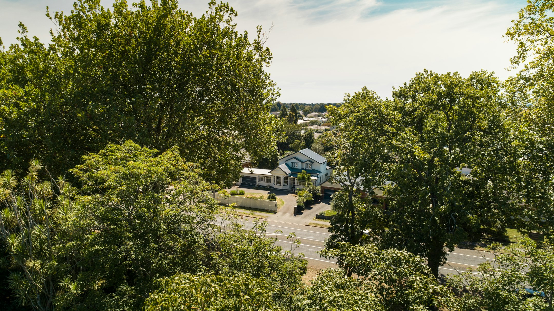 vegetation