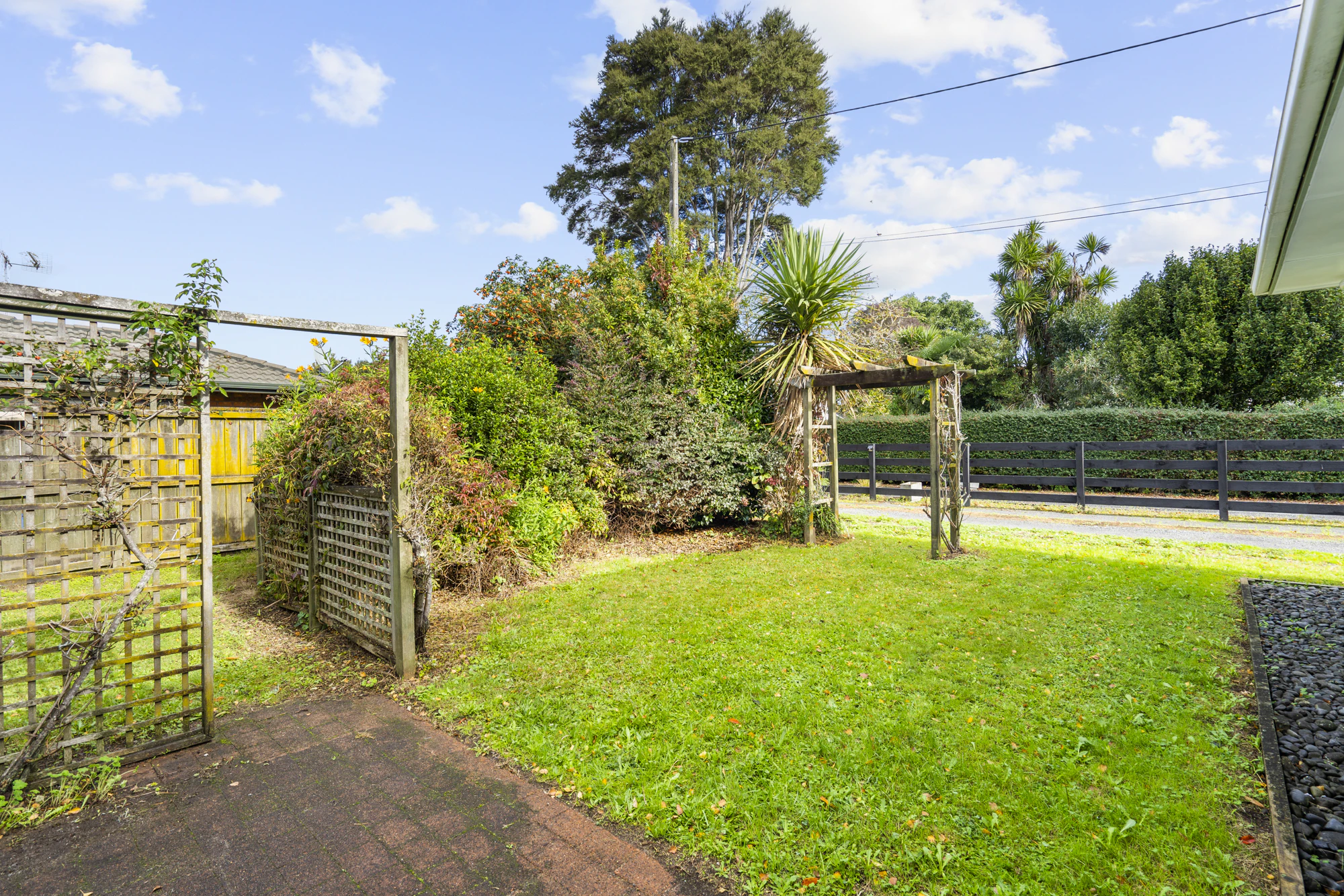 backyard