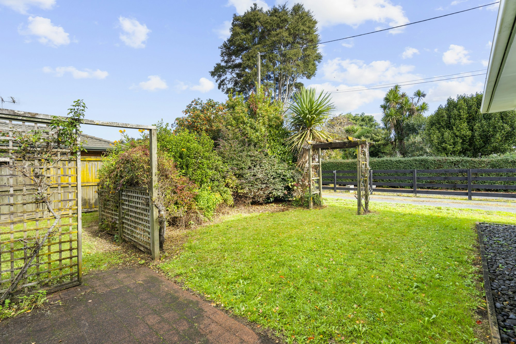 backyard
