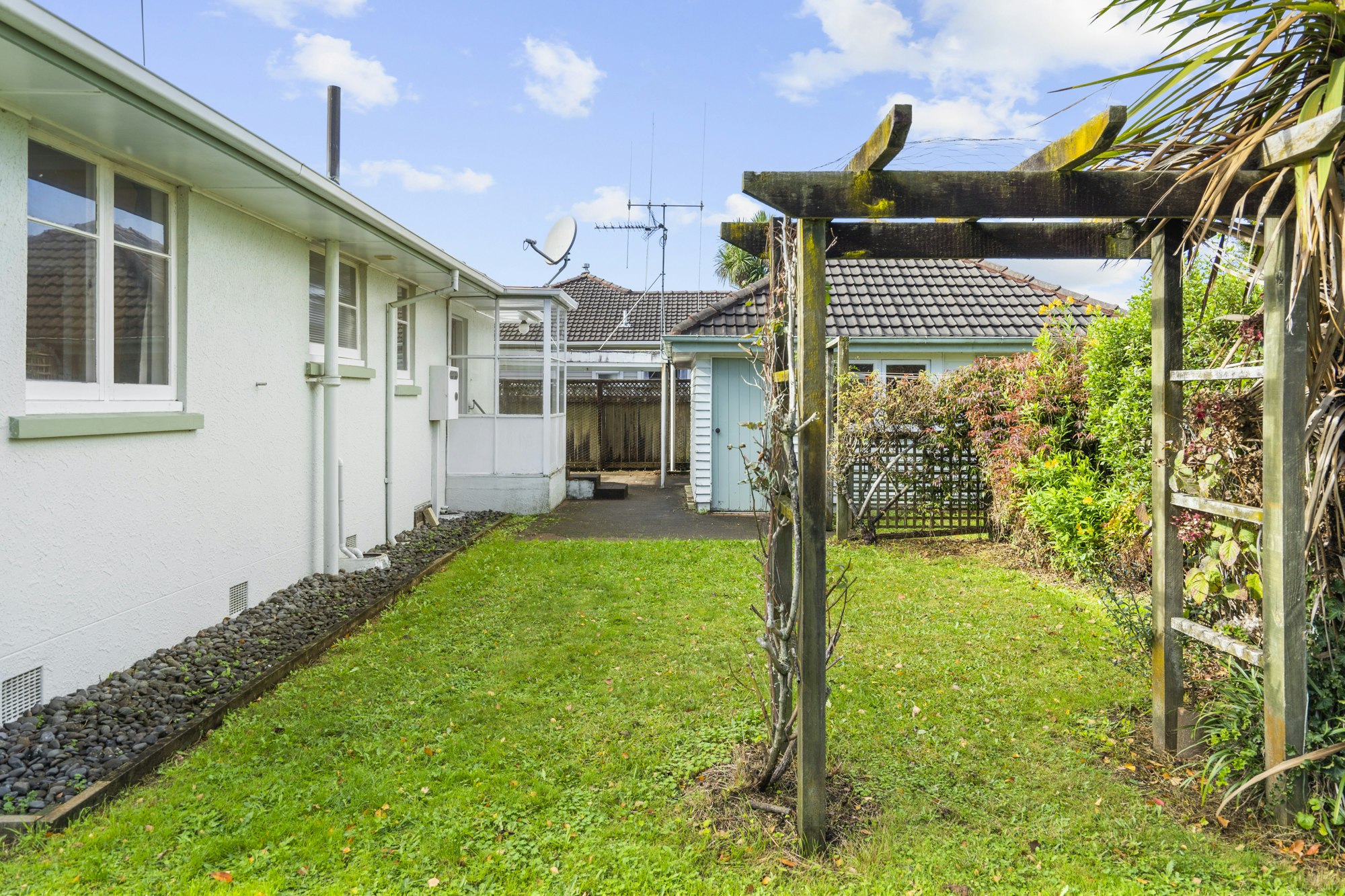 backyard