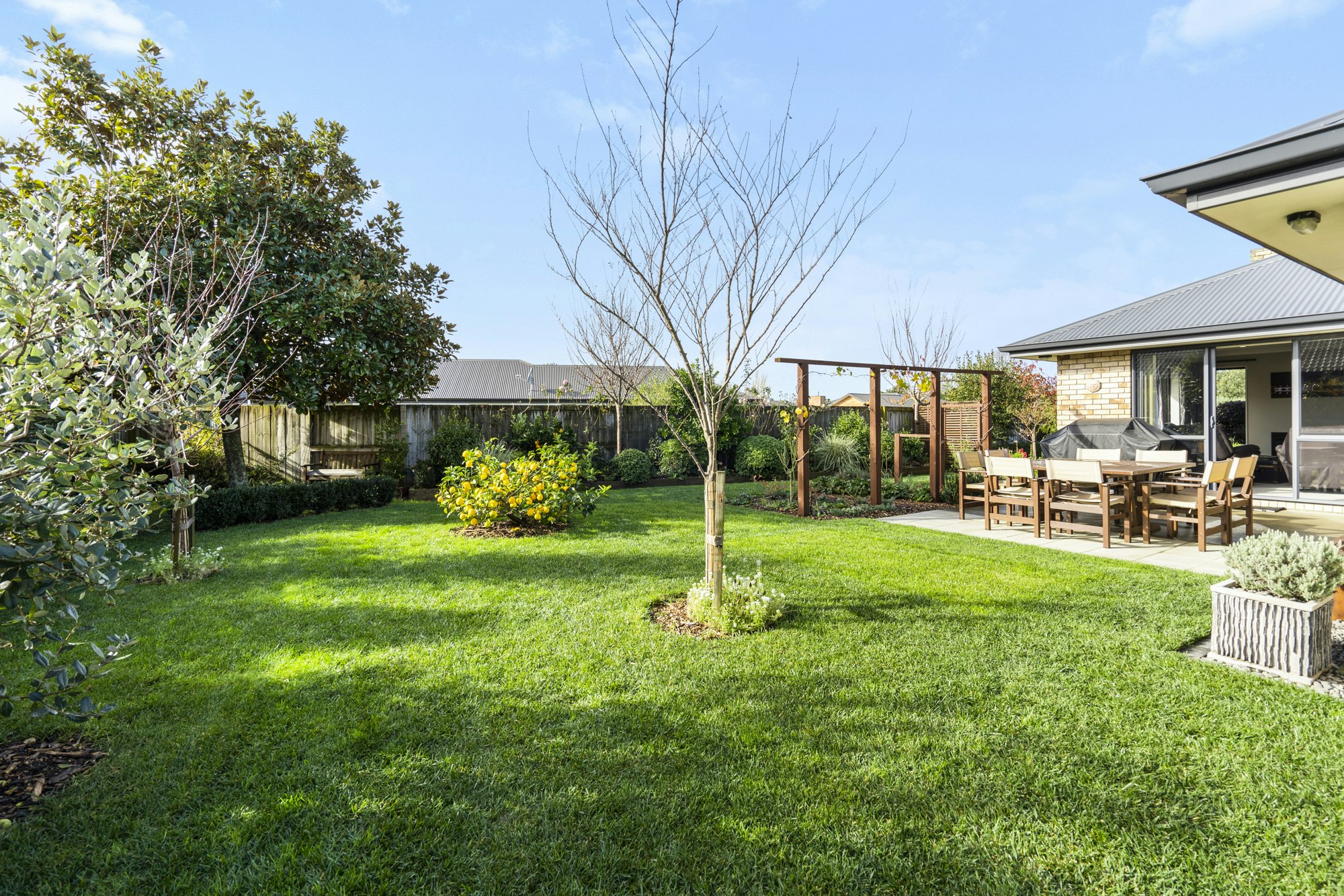 backyard