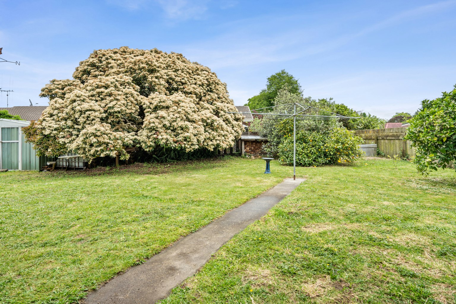 backyard
