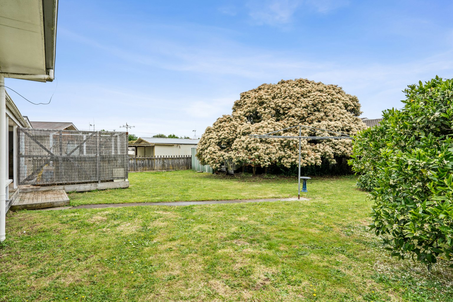backyard