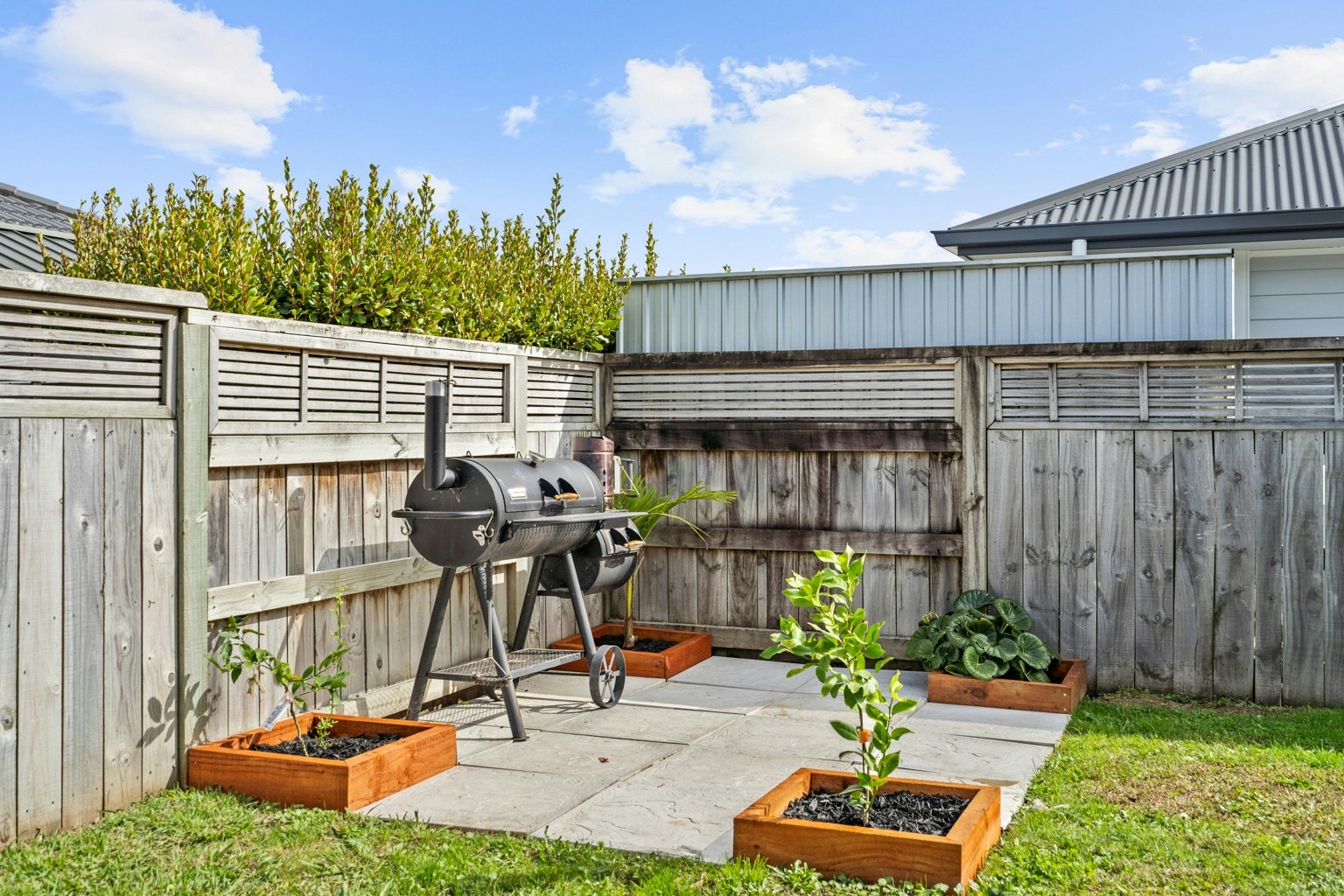 backyard