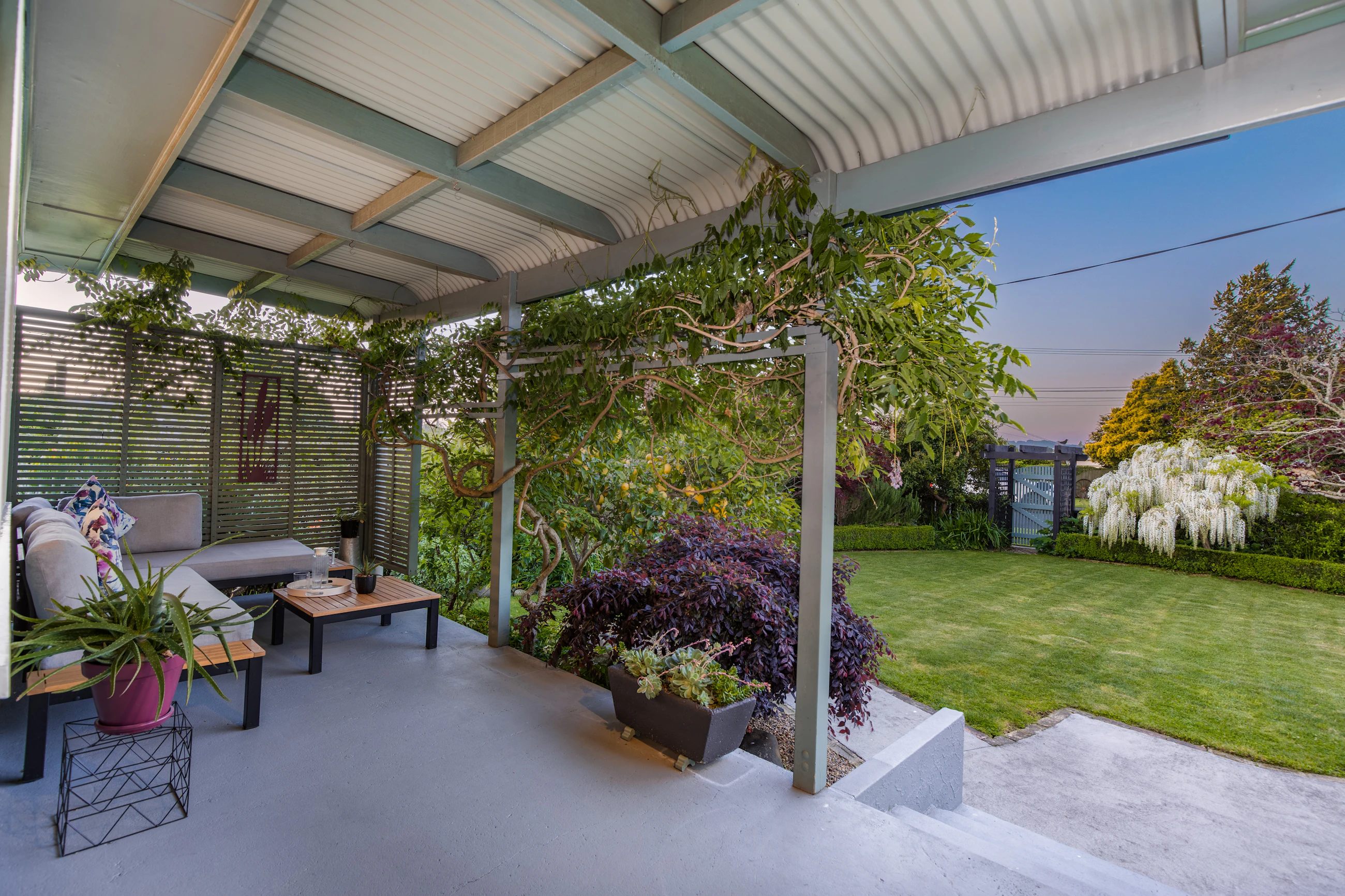 backyard