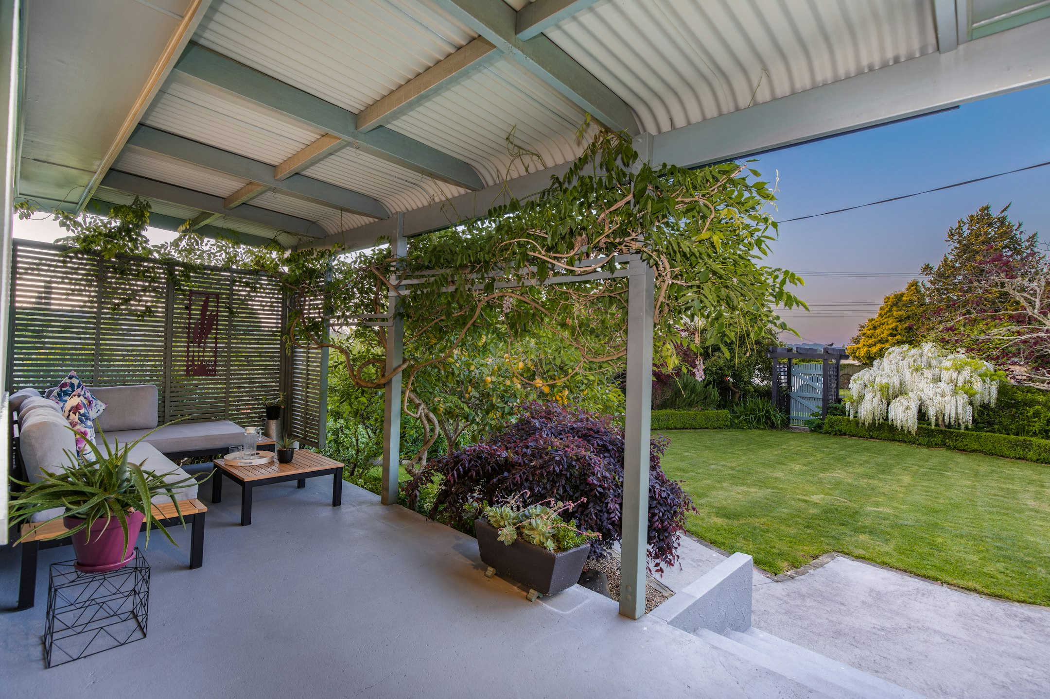 backyard