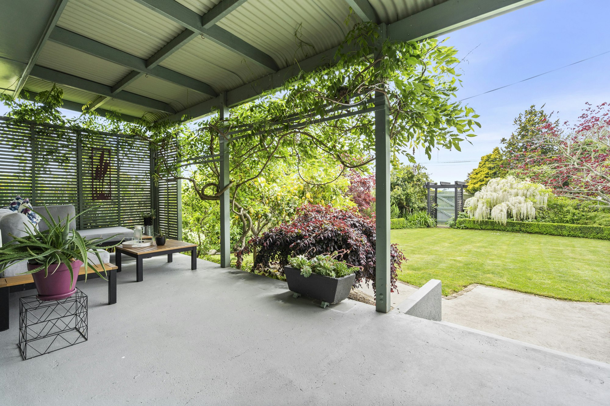 garden