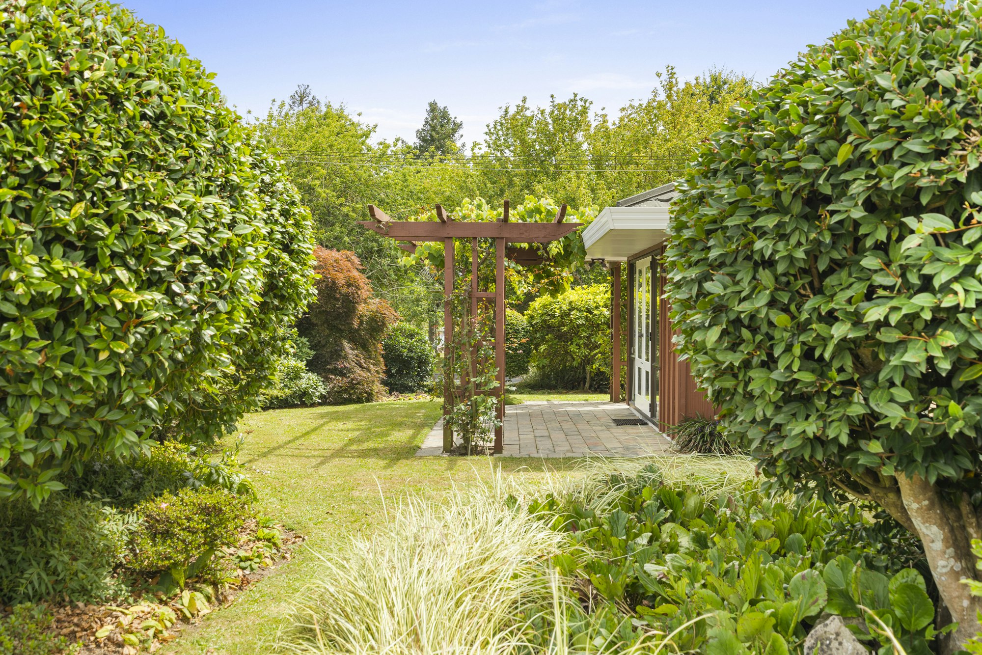 garden