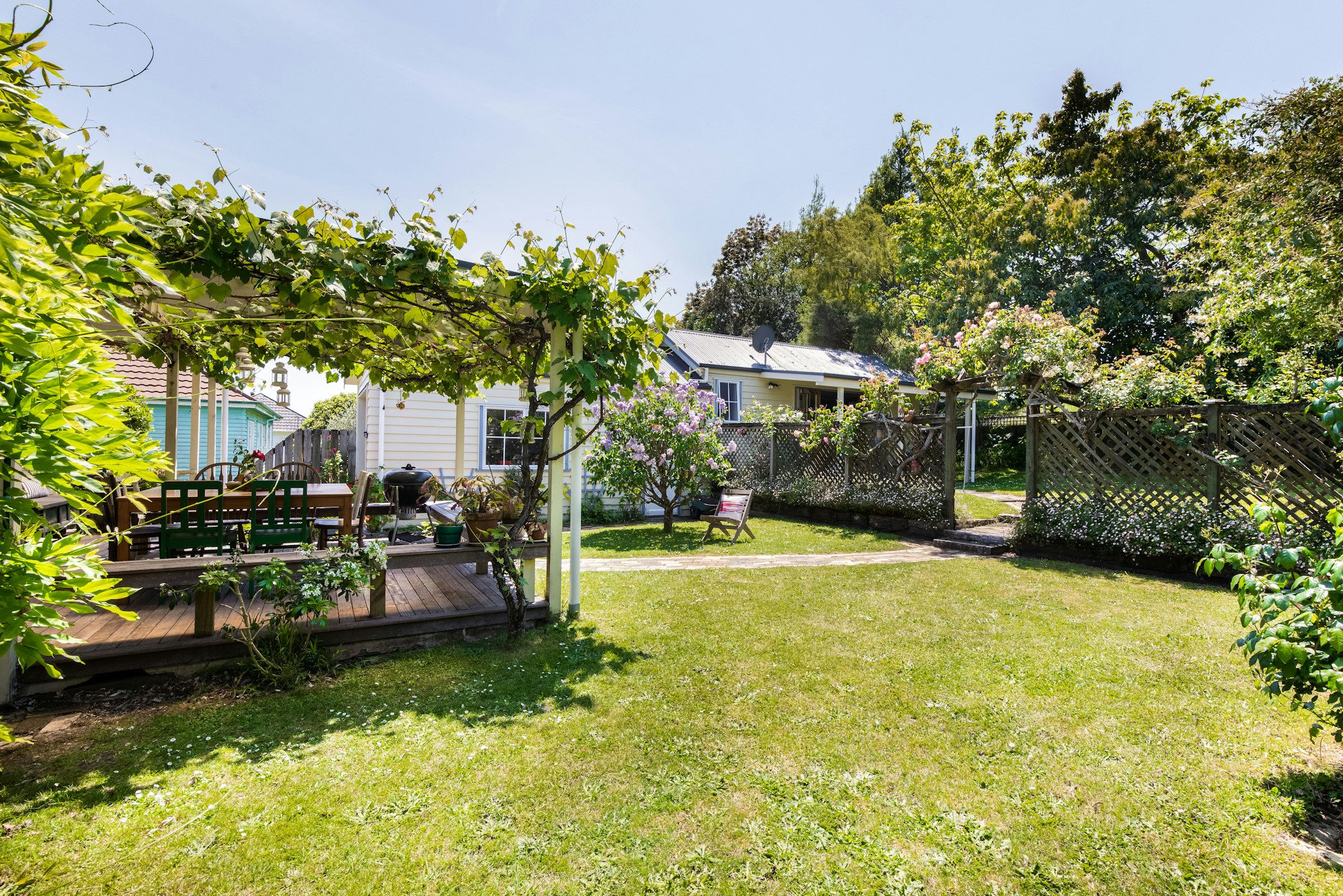 backyard