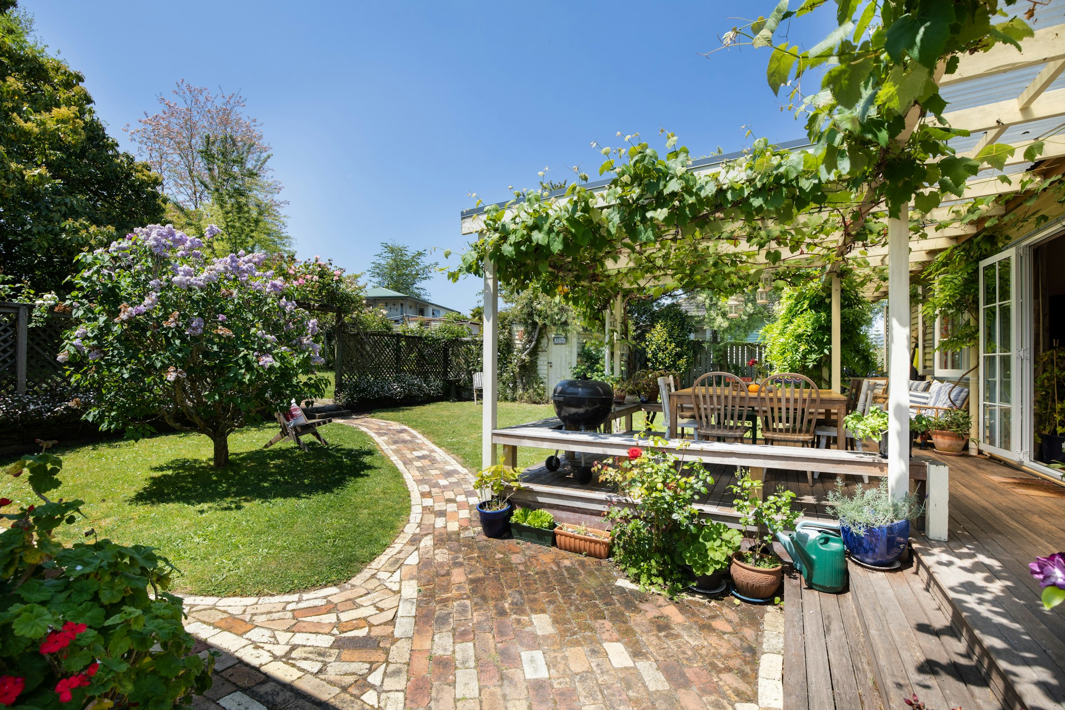backyard