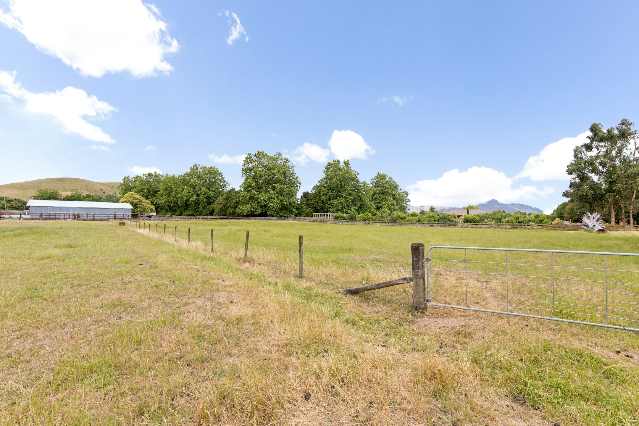 countryside