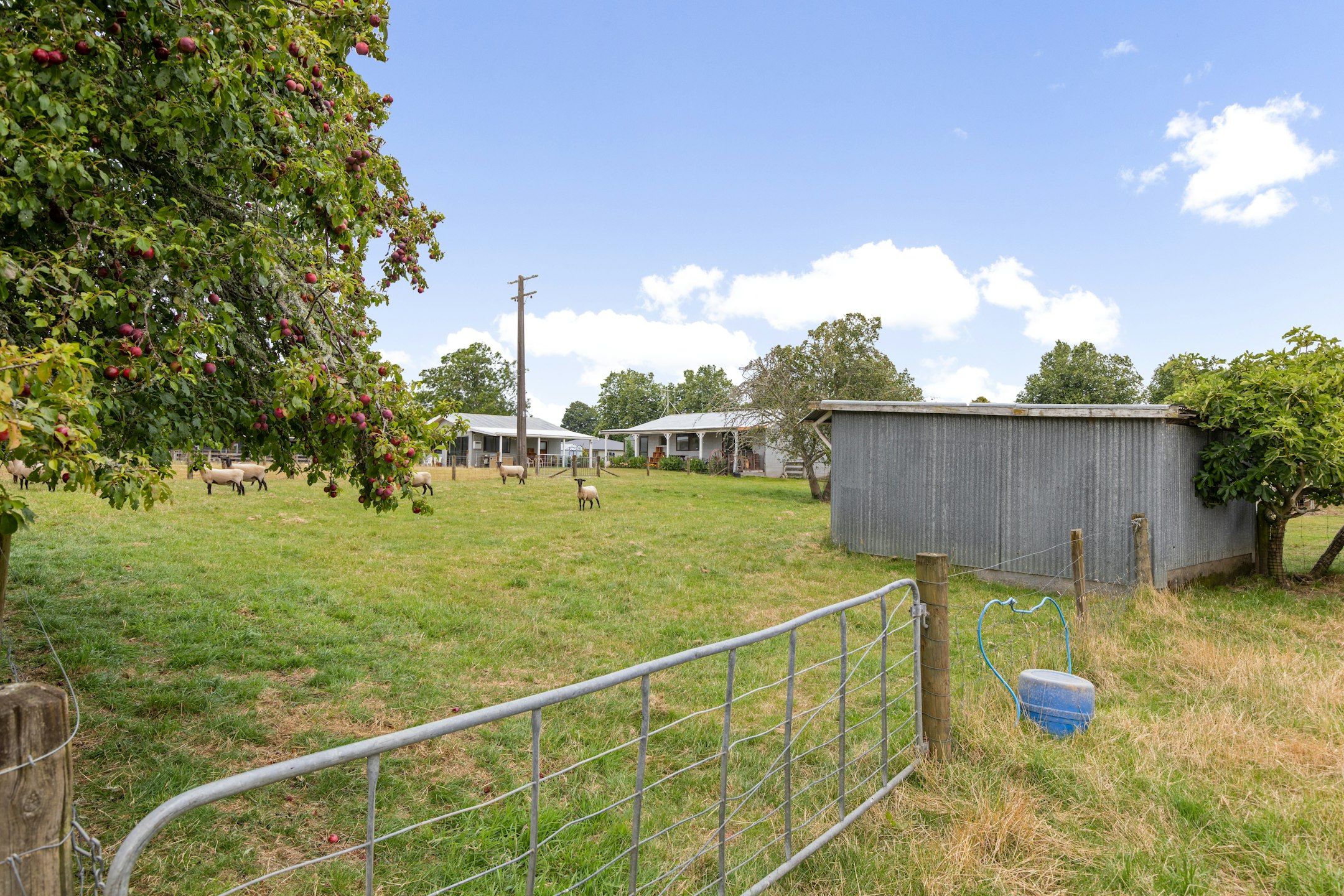 countryside