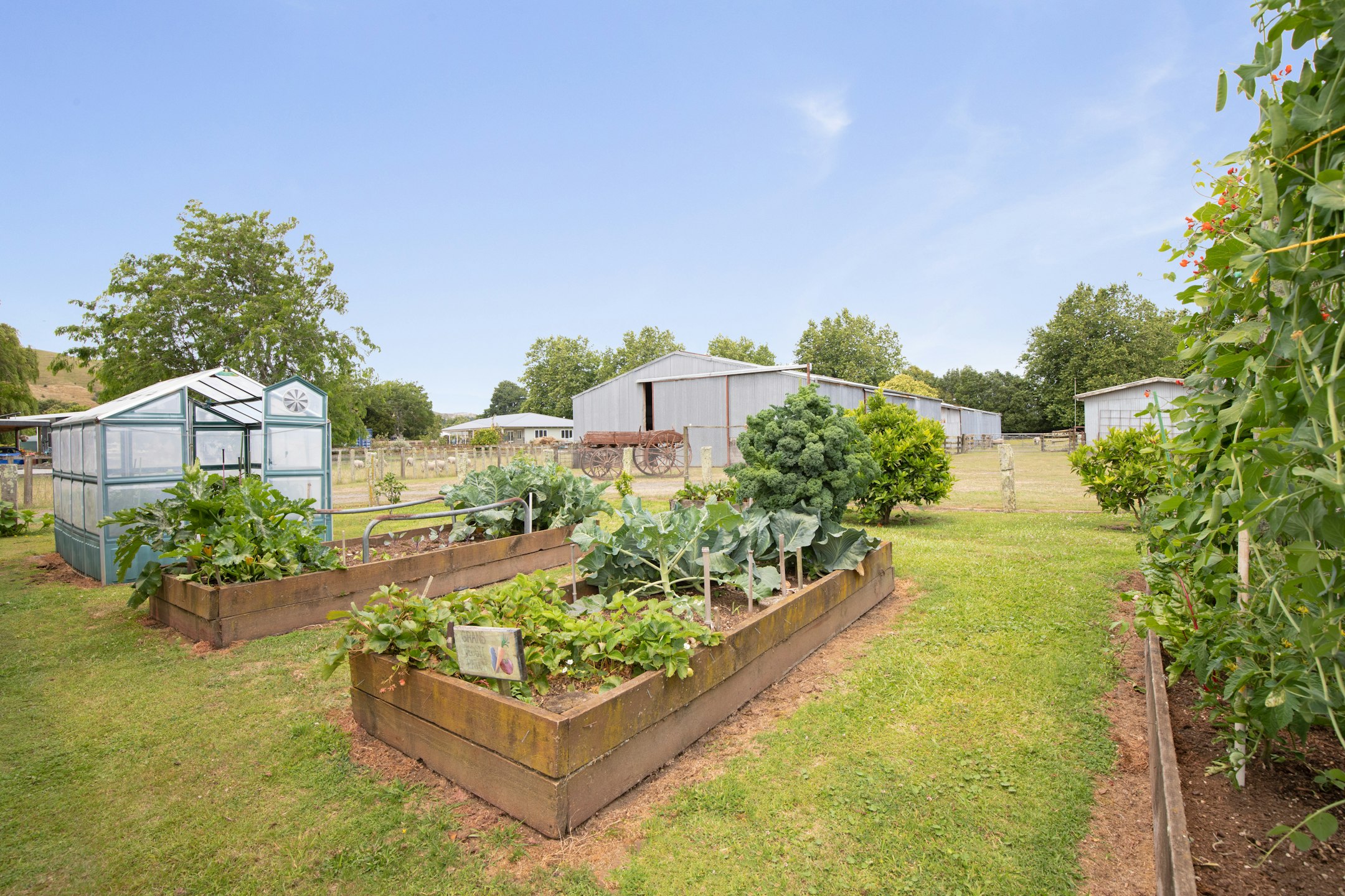 garden