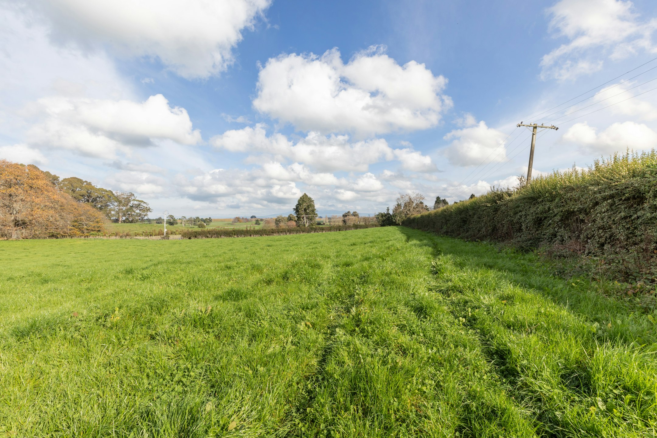 countryside