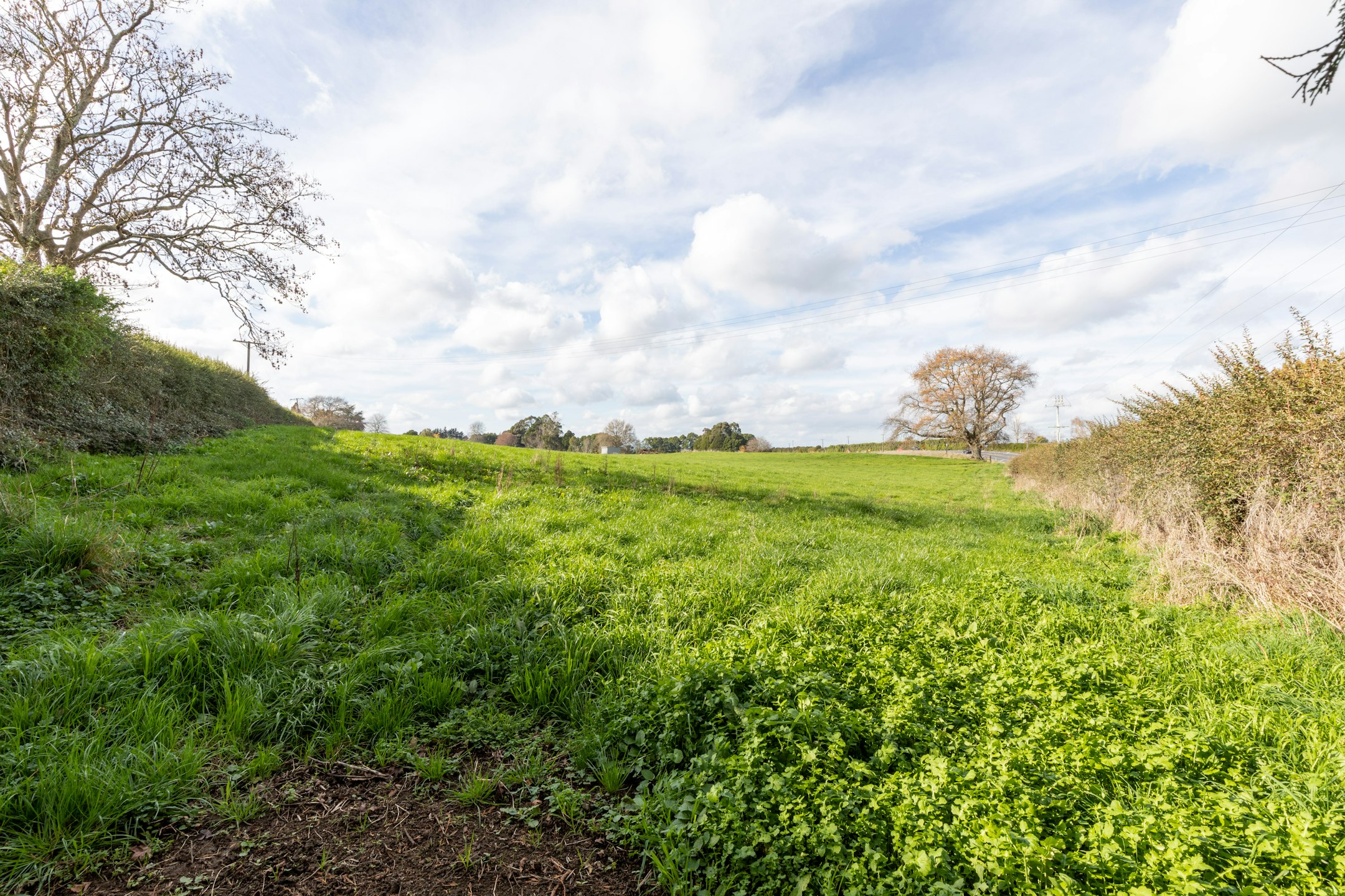 field