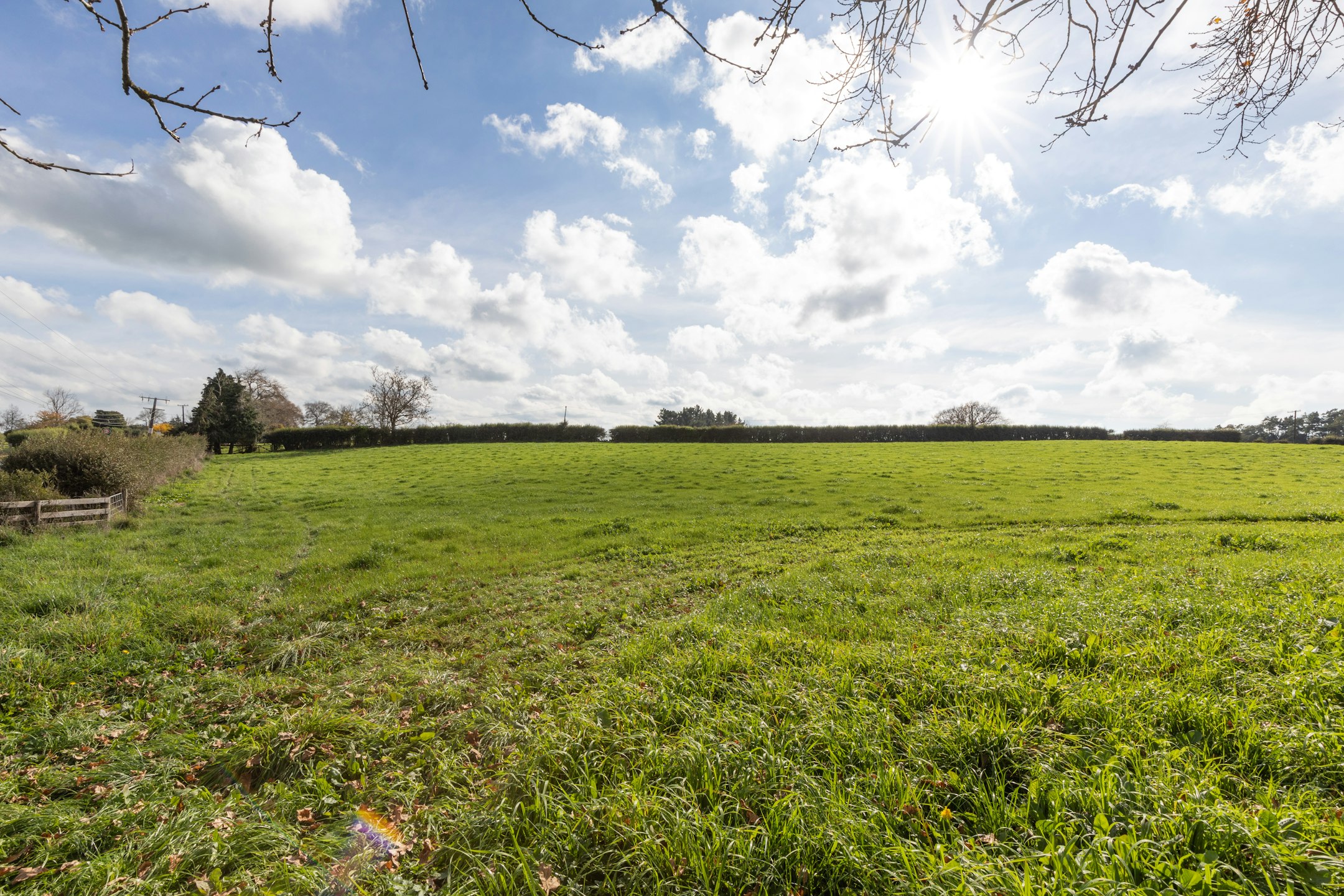 countryside