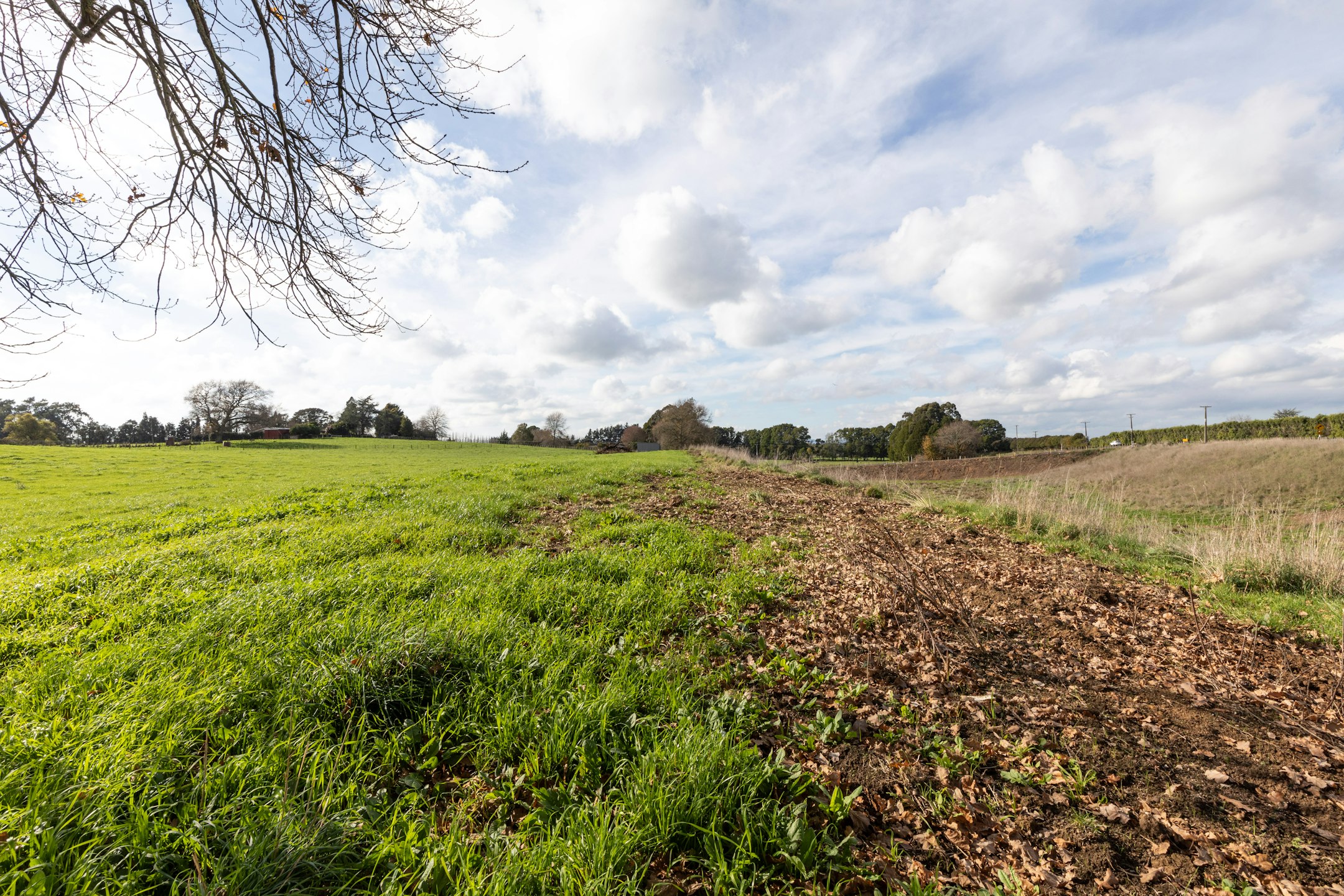 field