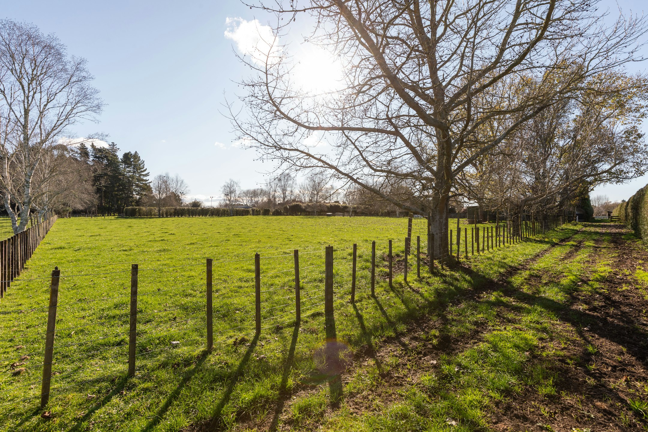 countryside