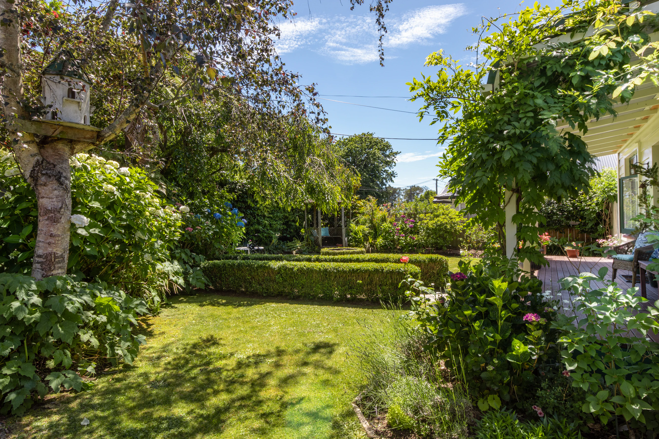 garden