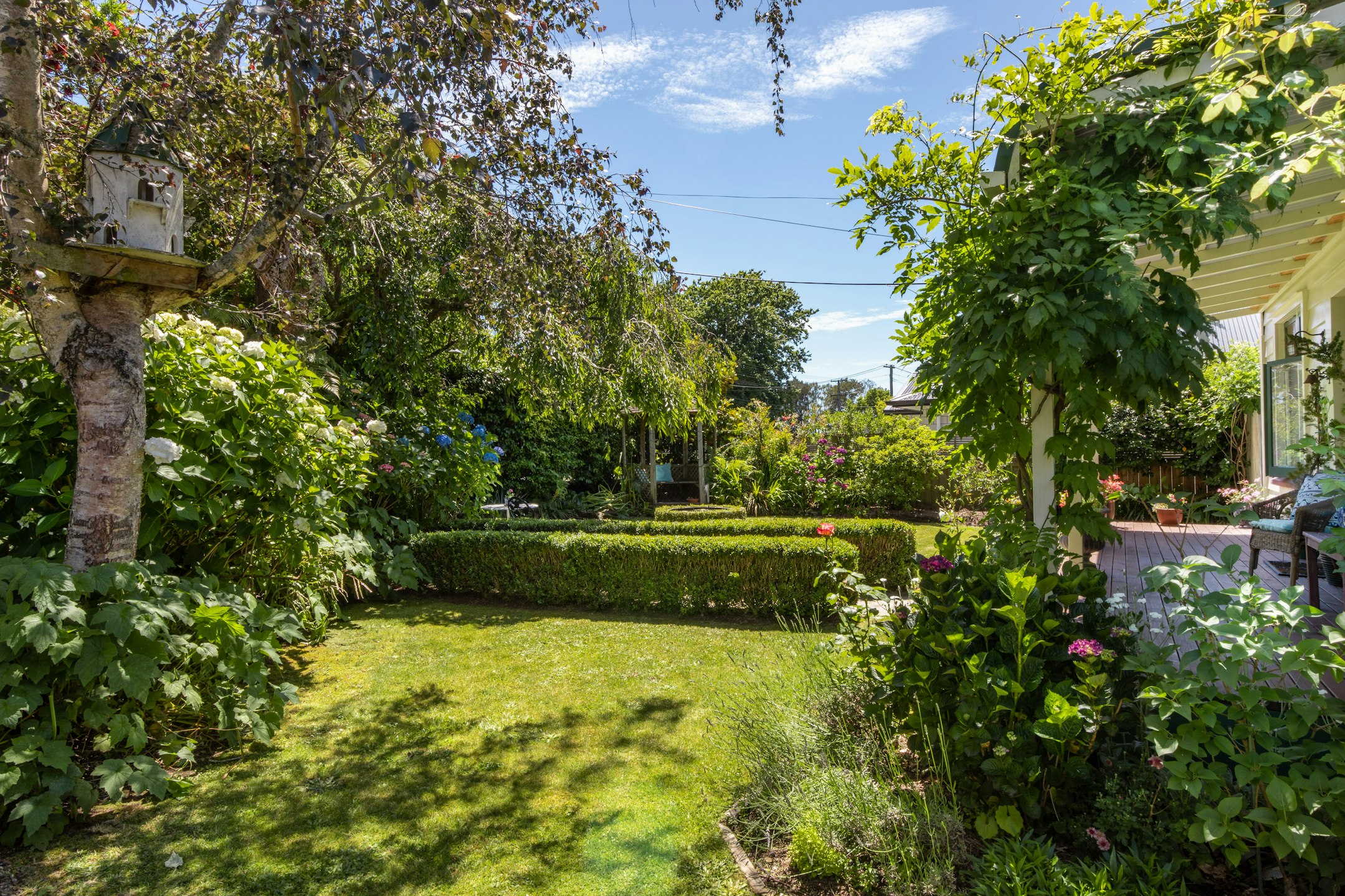 garden