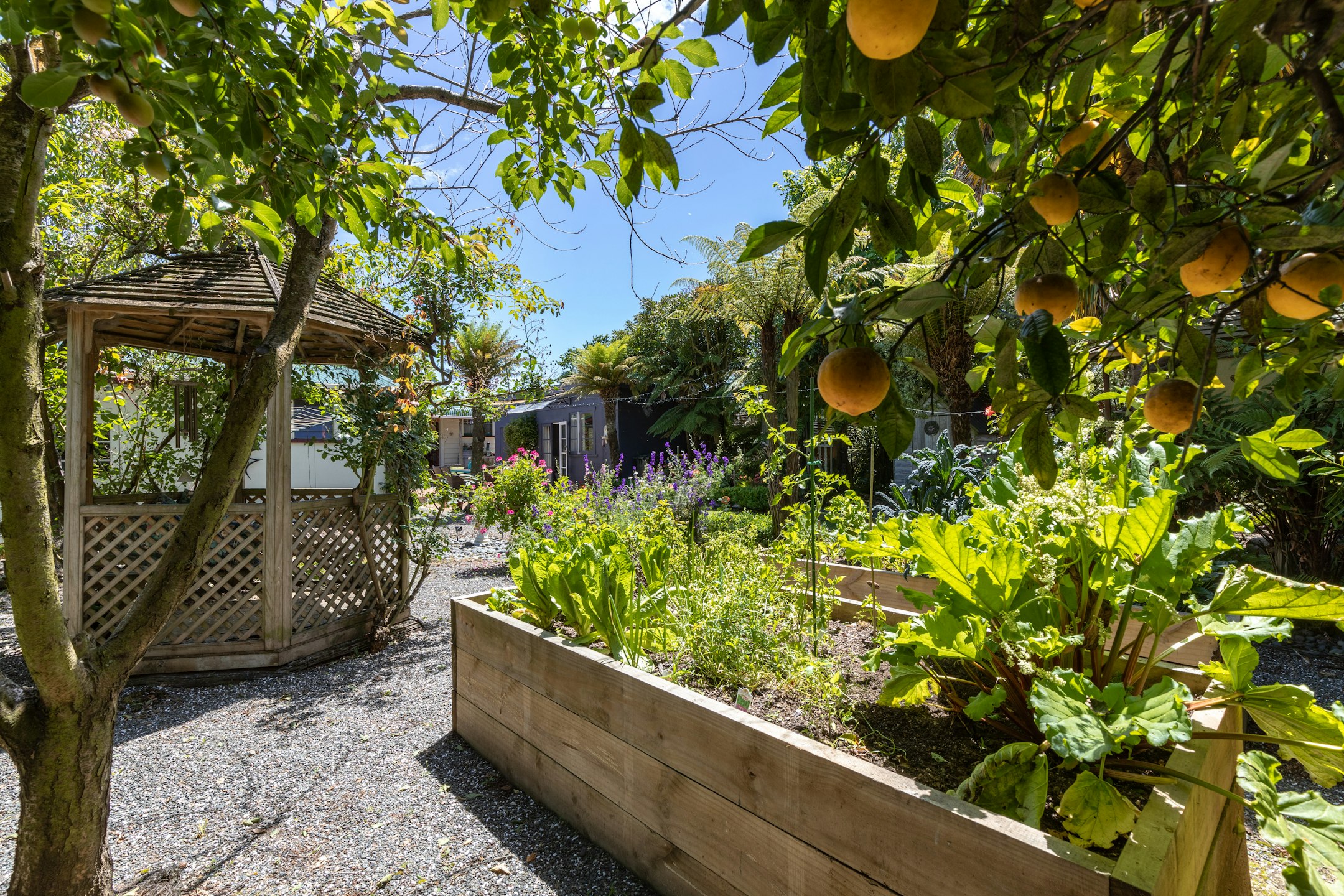 garden
