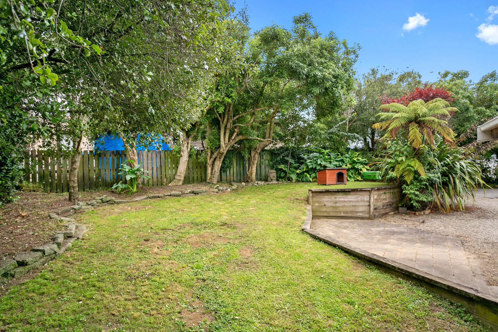 backyard