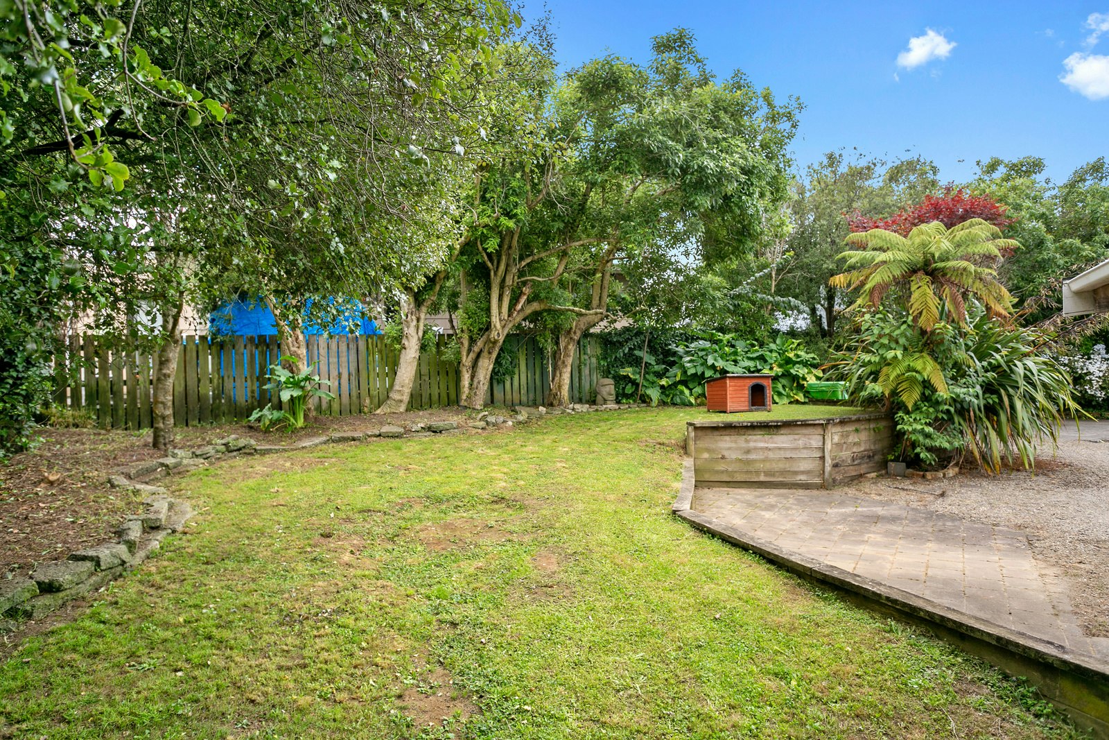 backyard