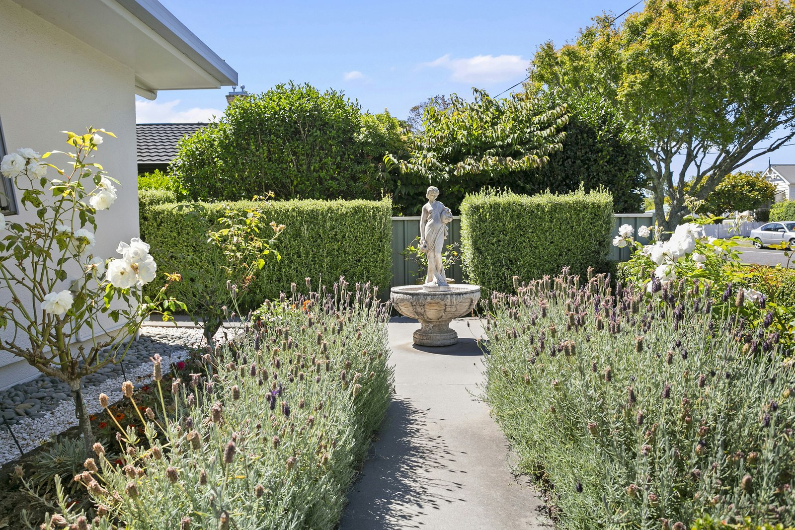garden