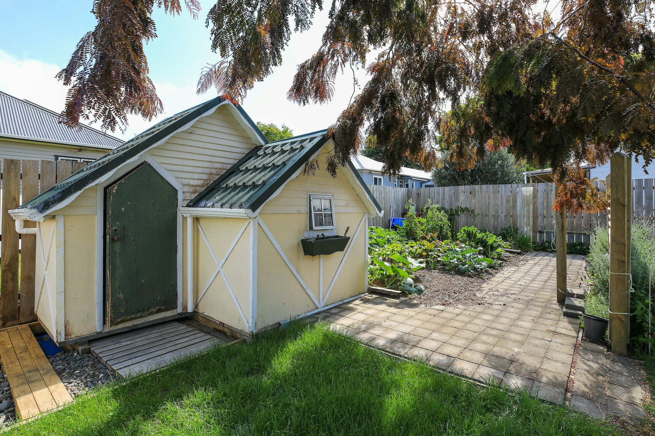 backyard