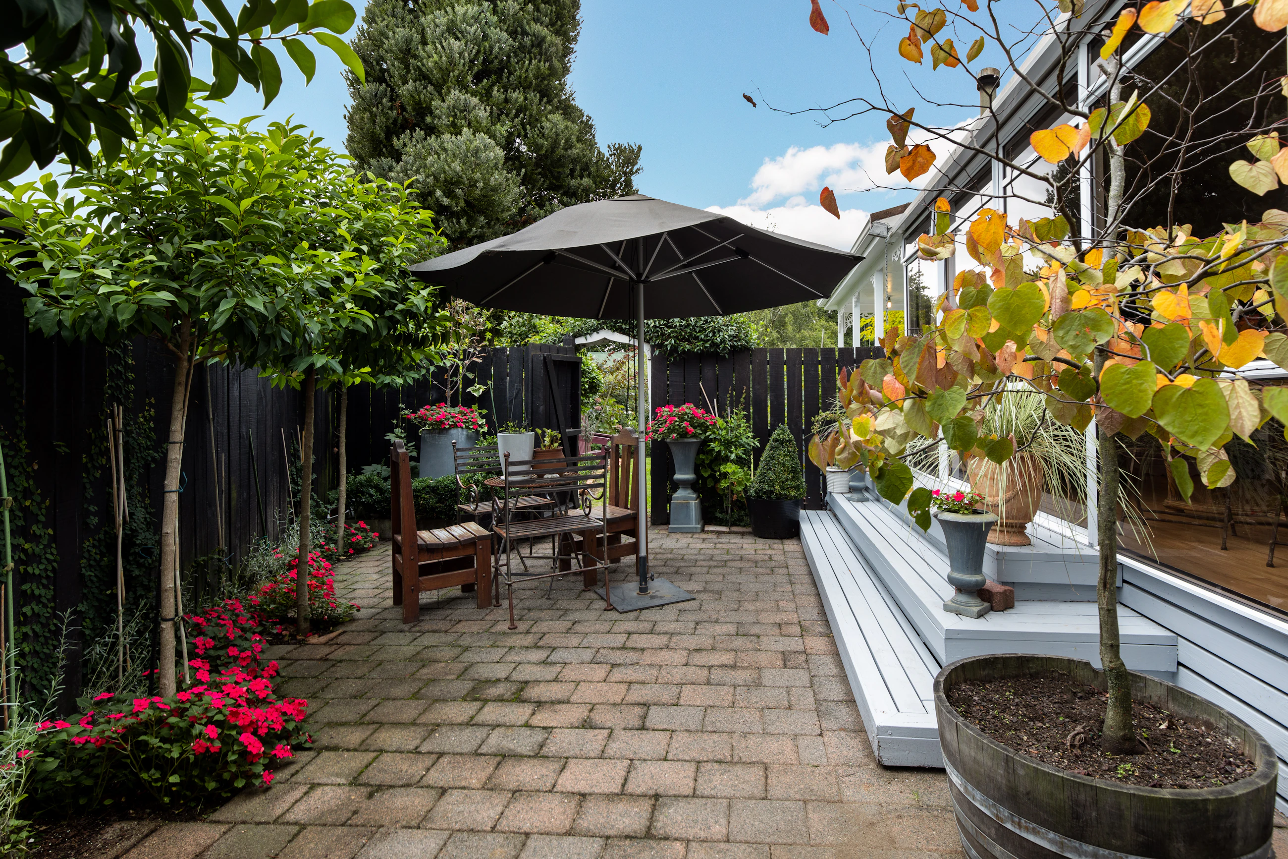 backyard