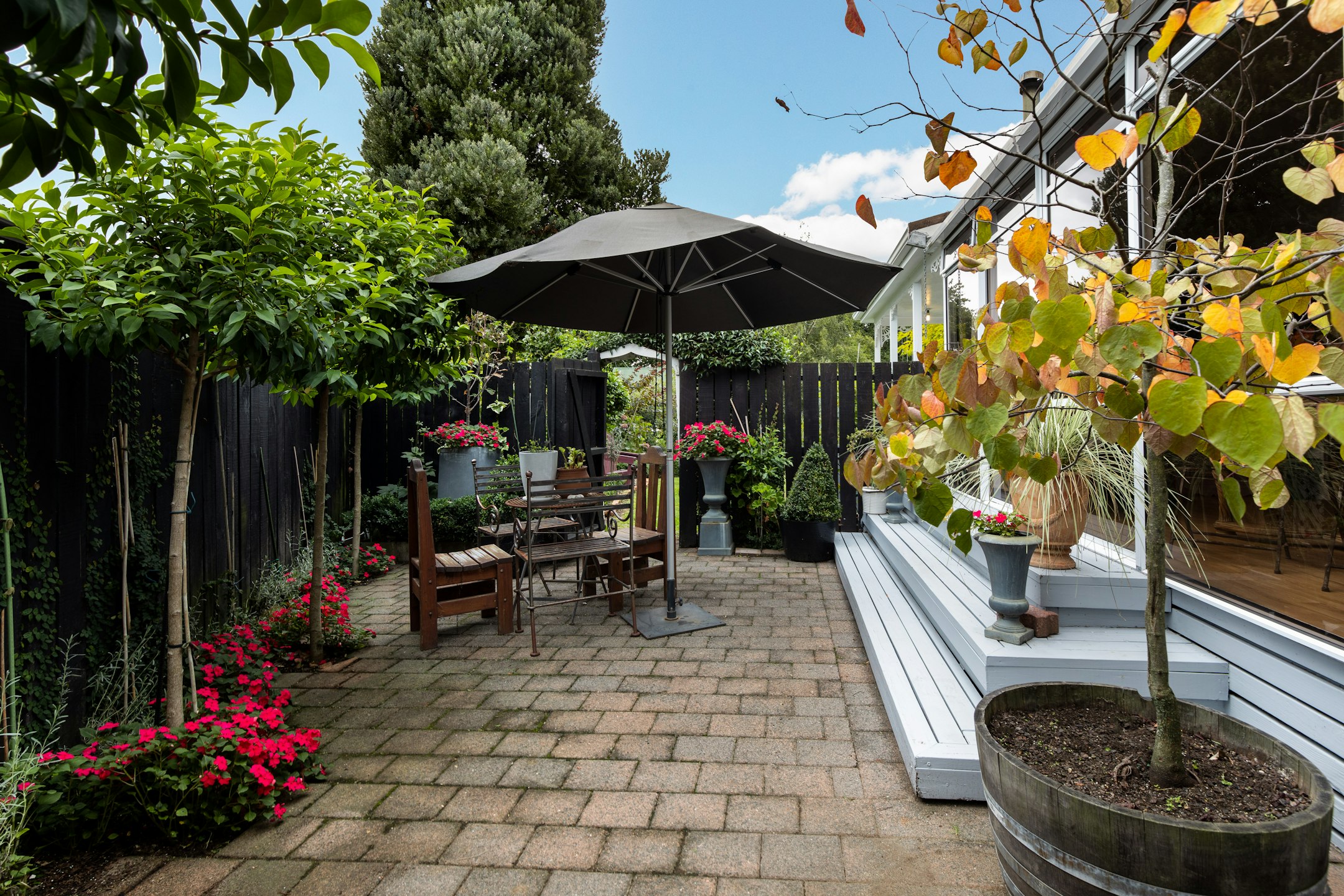 backyard