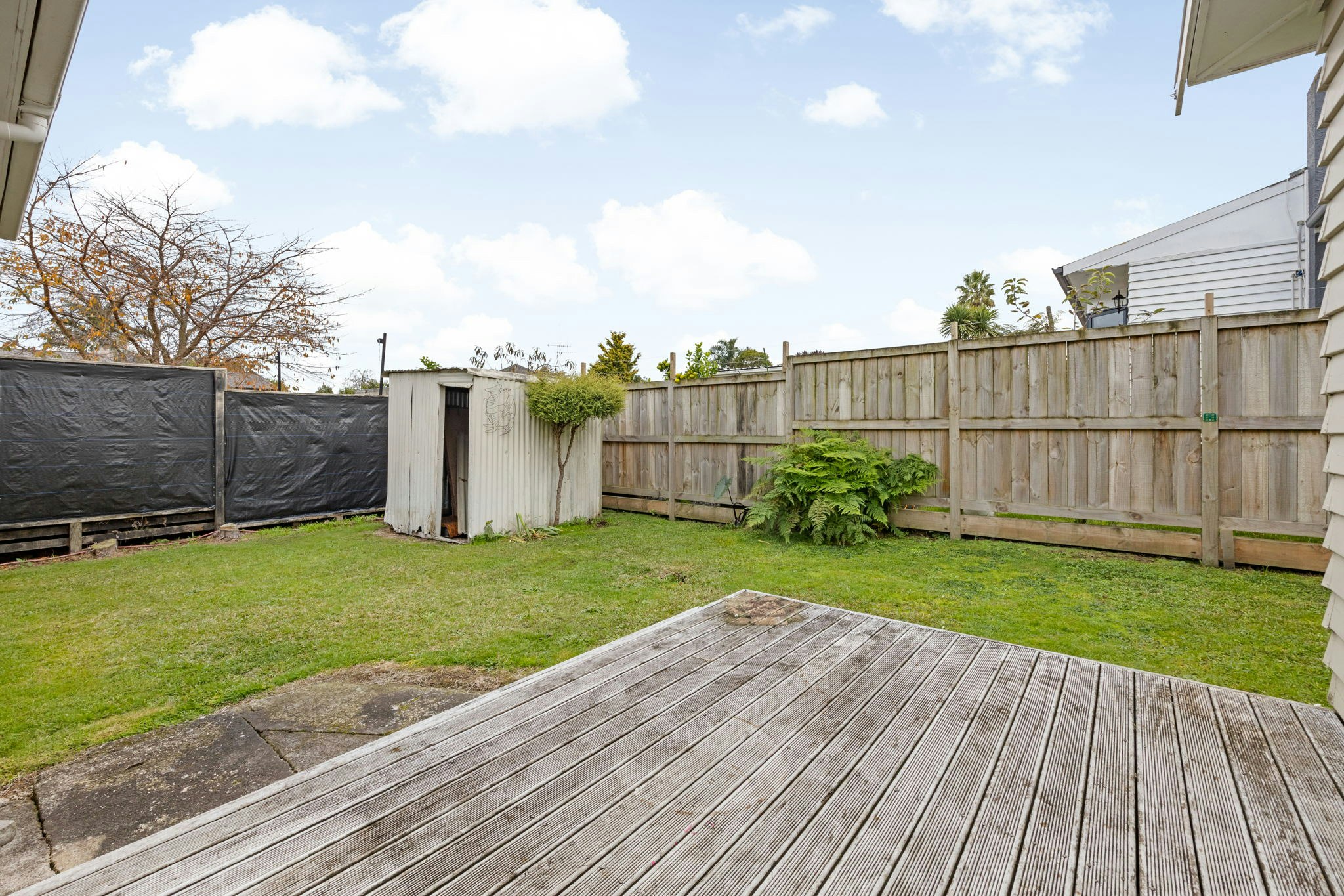 backyard
