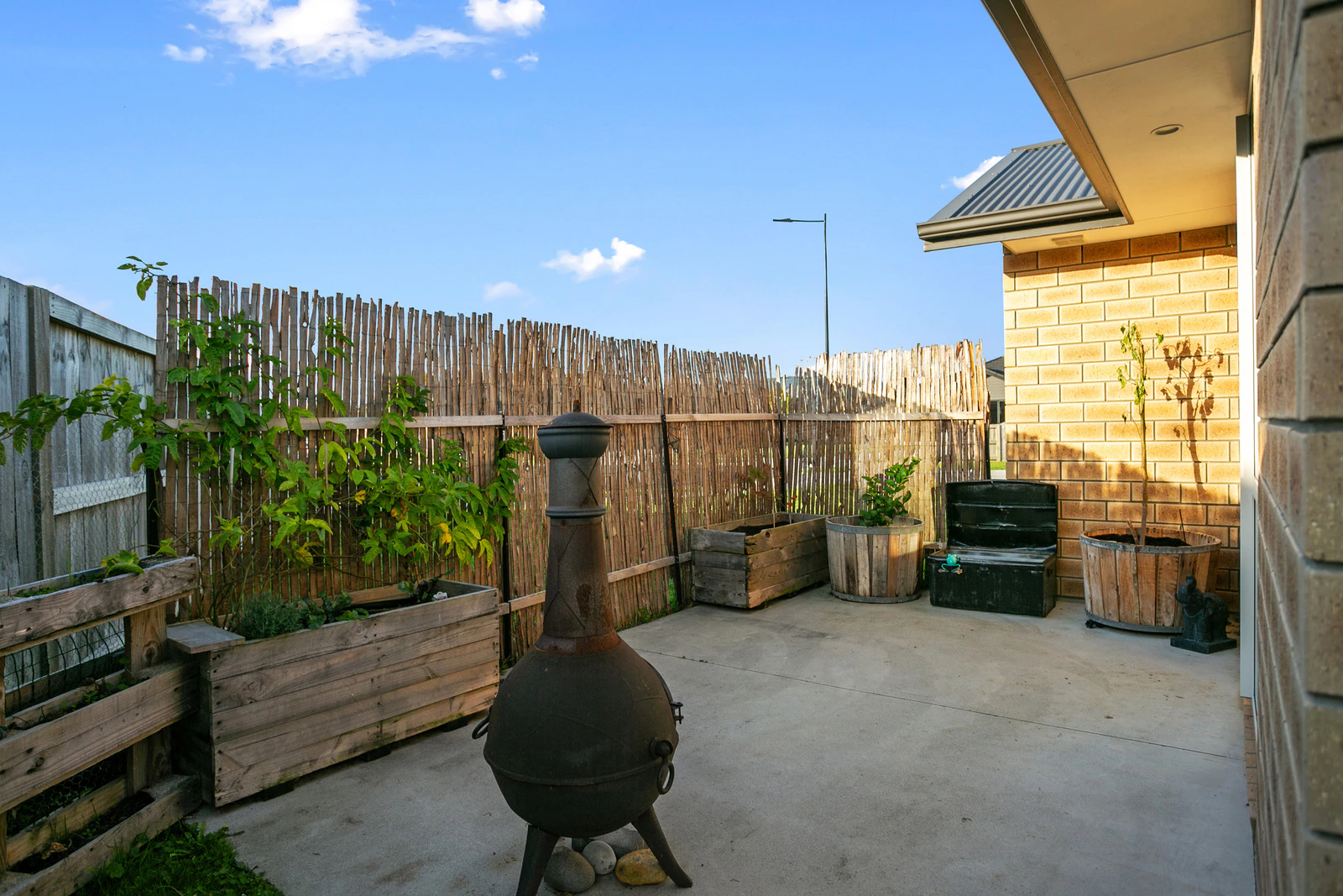 backyard