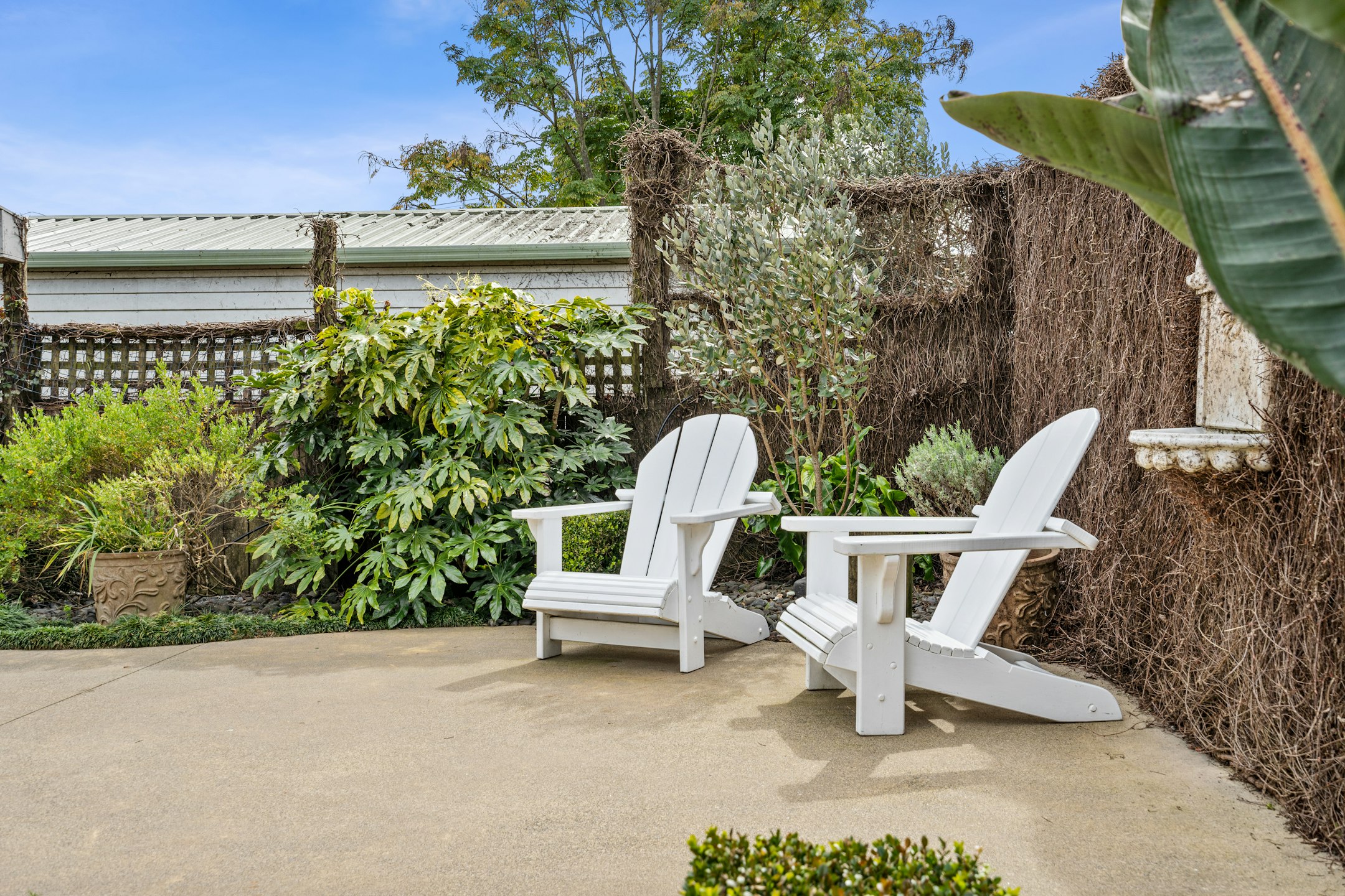 backyard