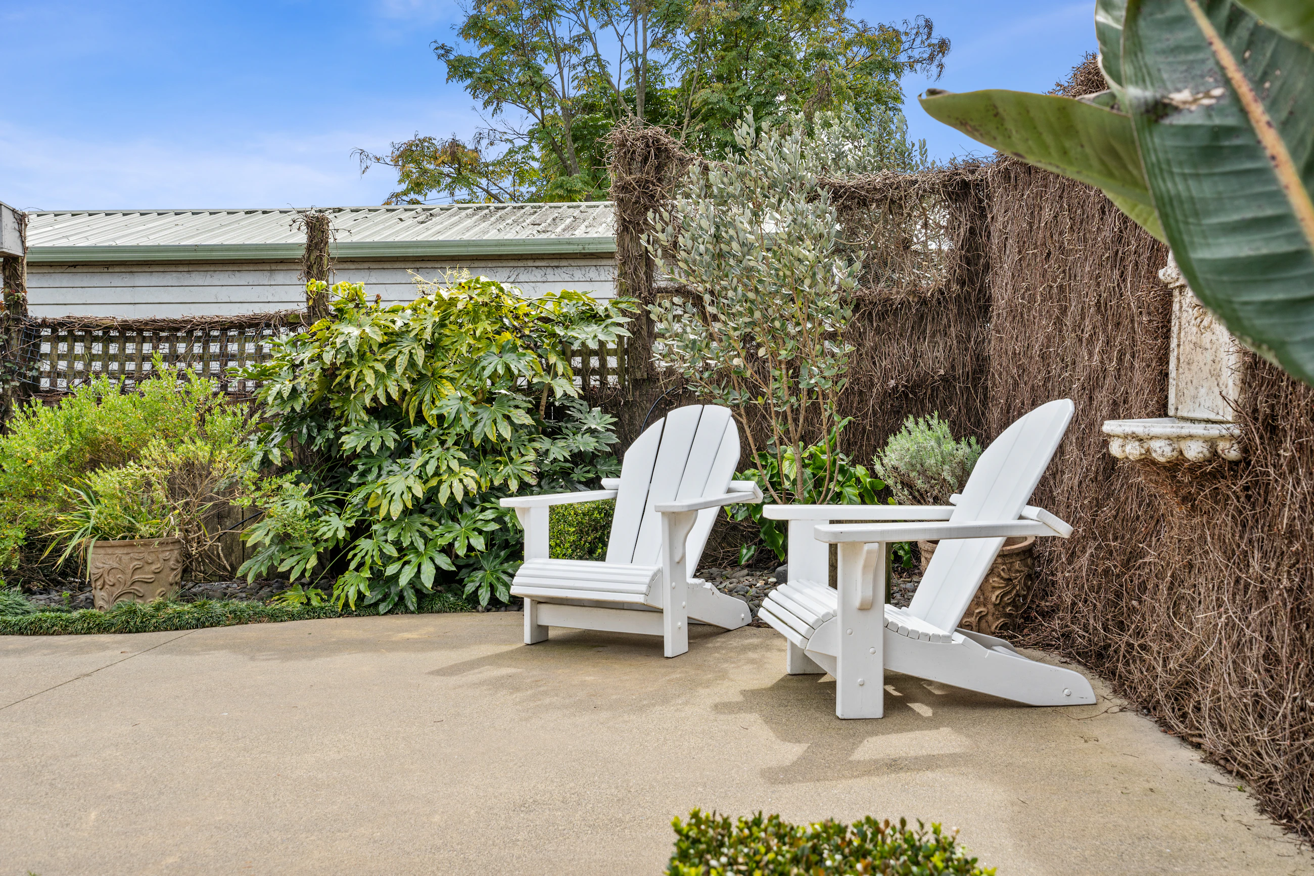 backyard