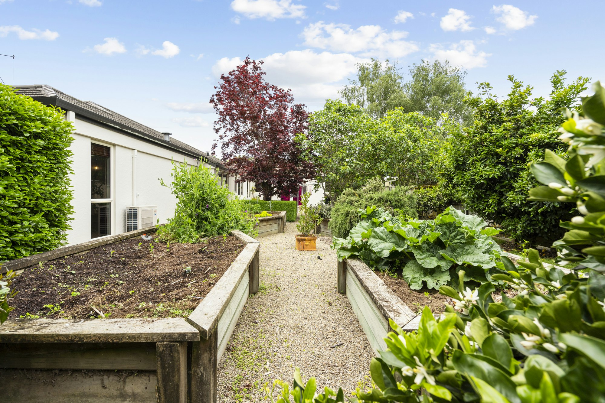 garden