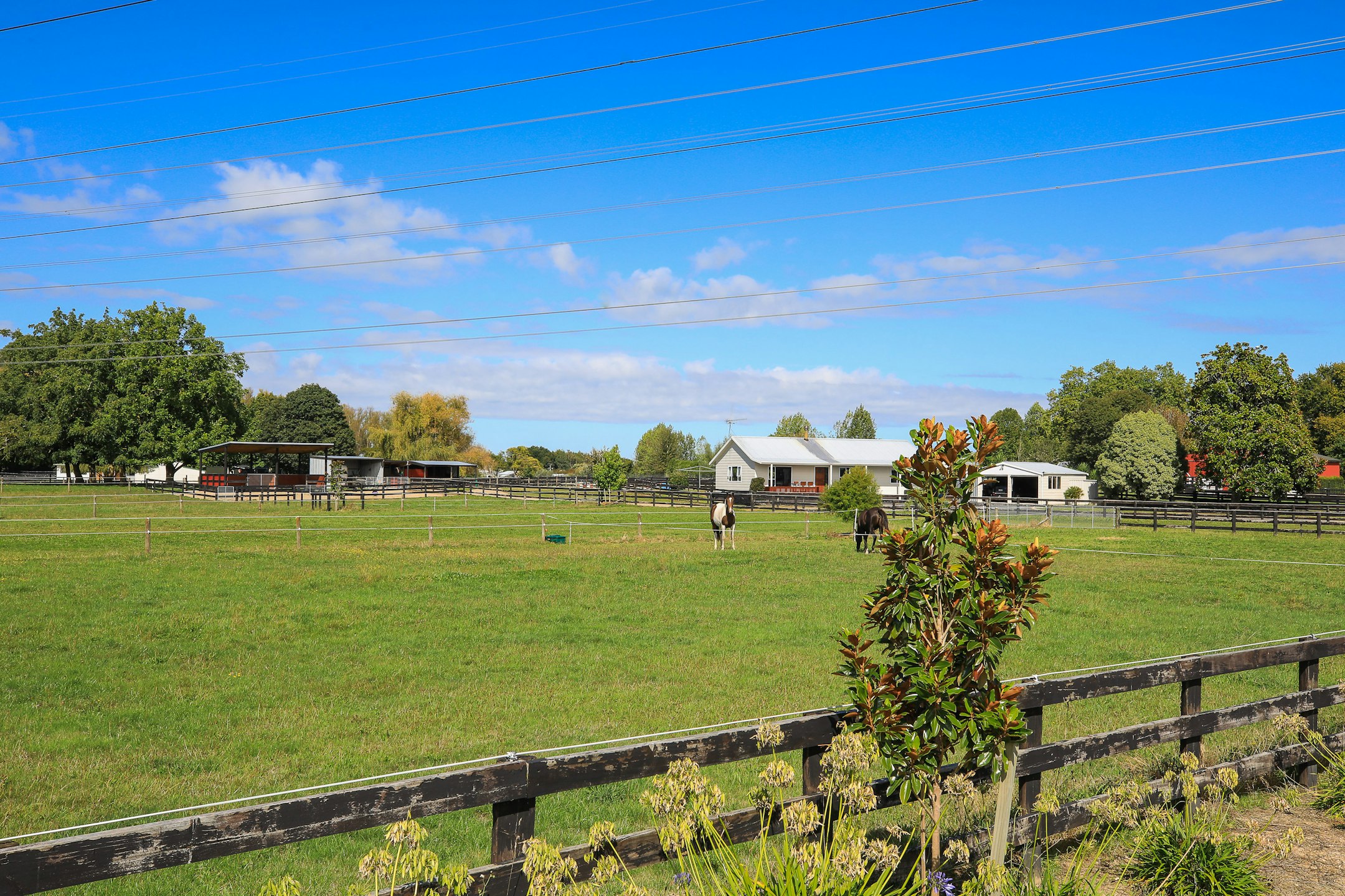 countryside