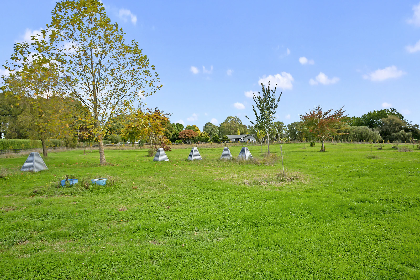 field