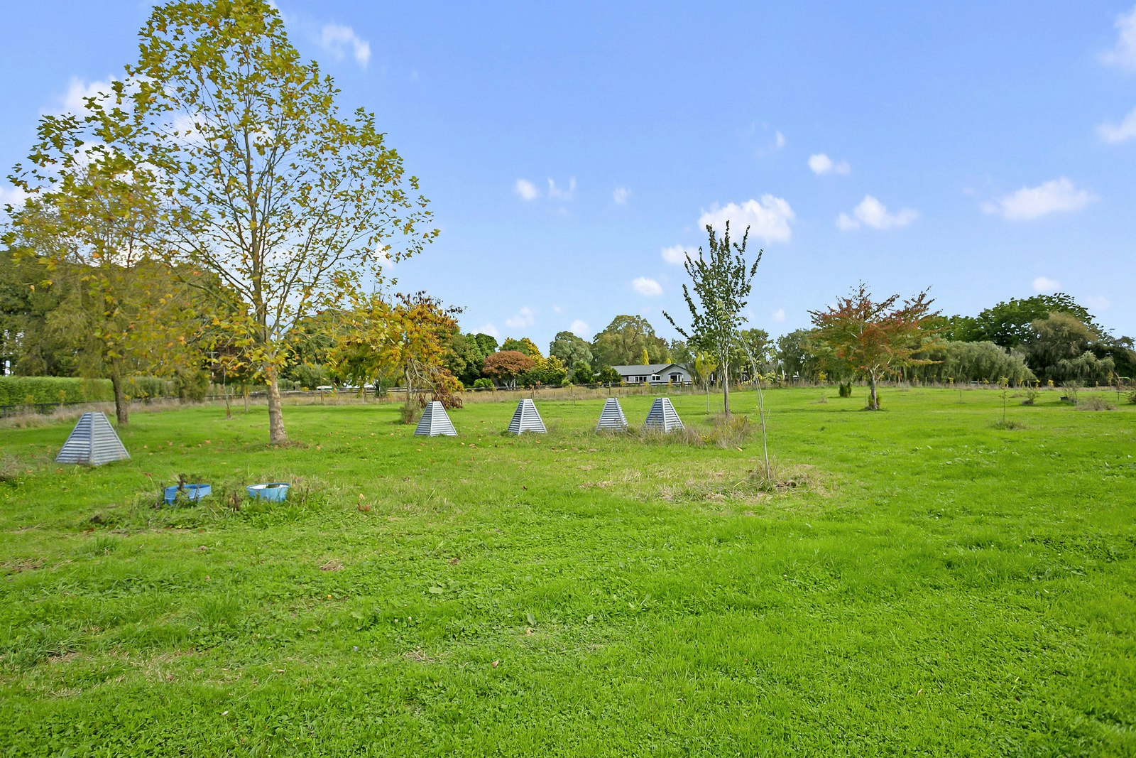 field
