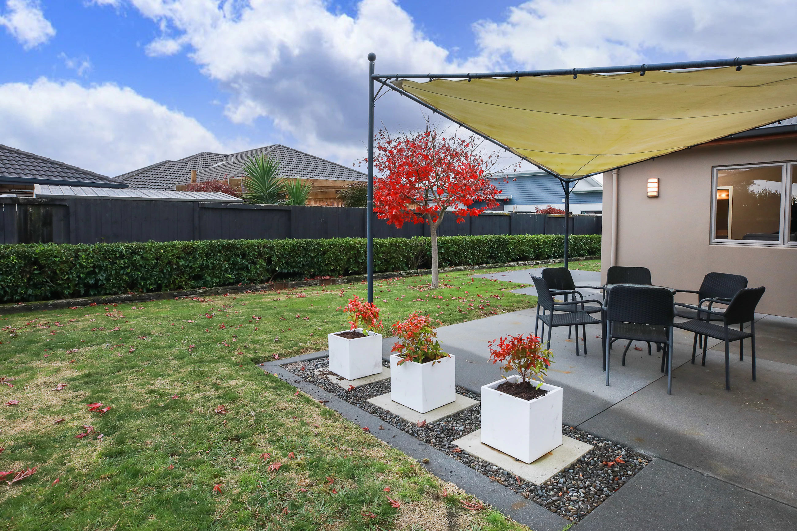 backyard