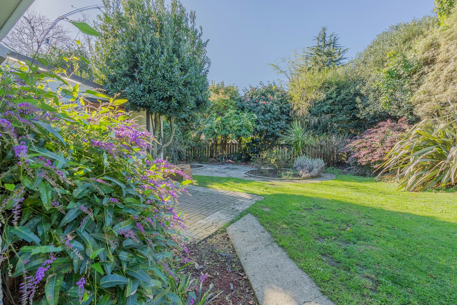 garden