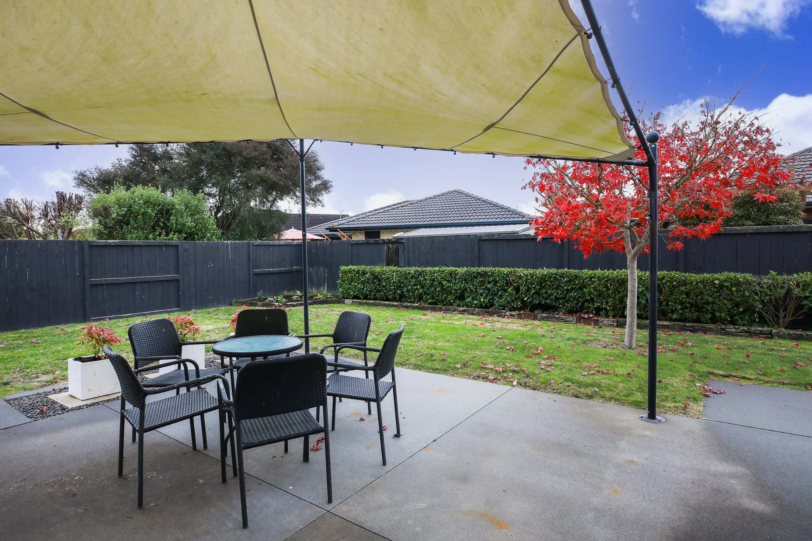 backyard