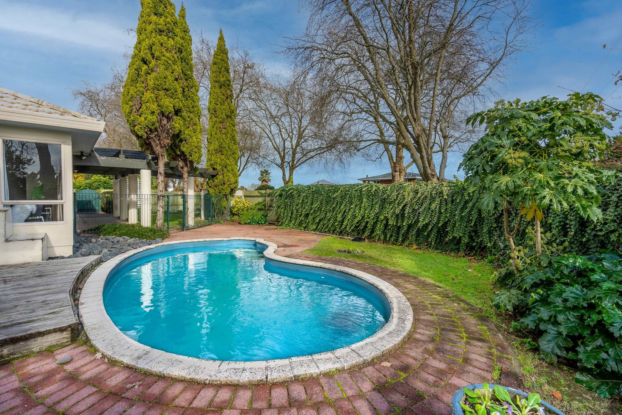 backyard
