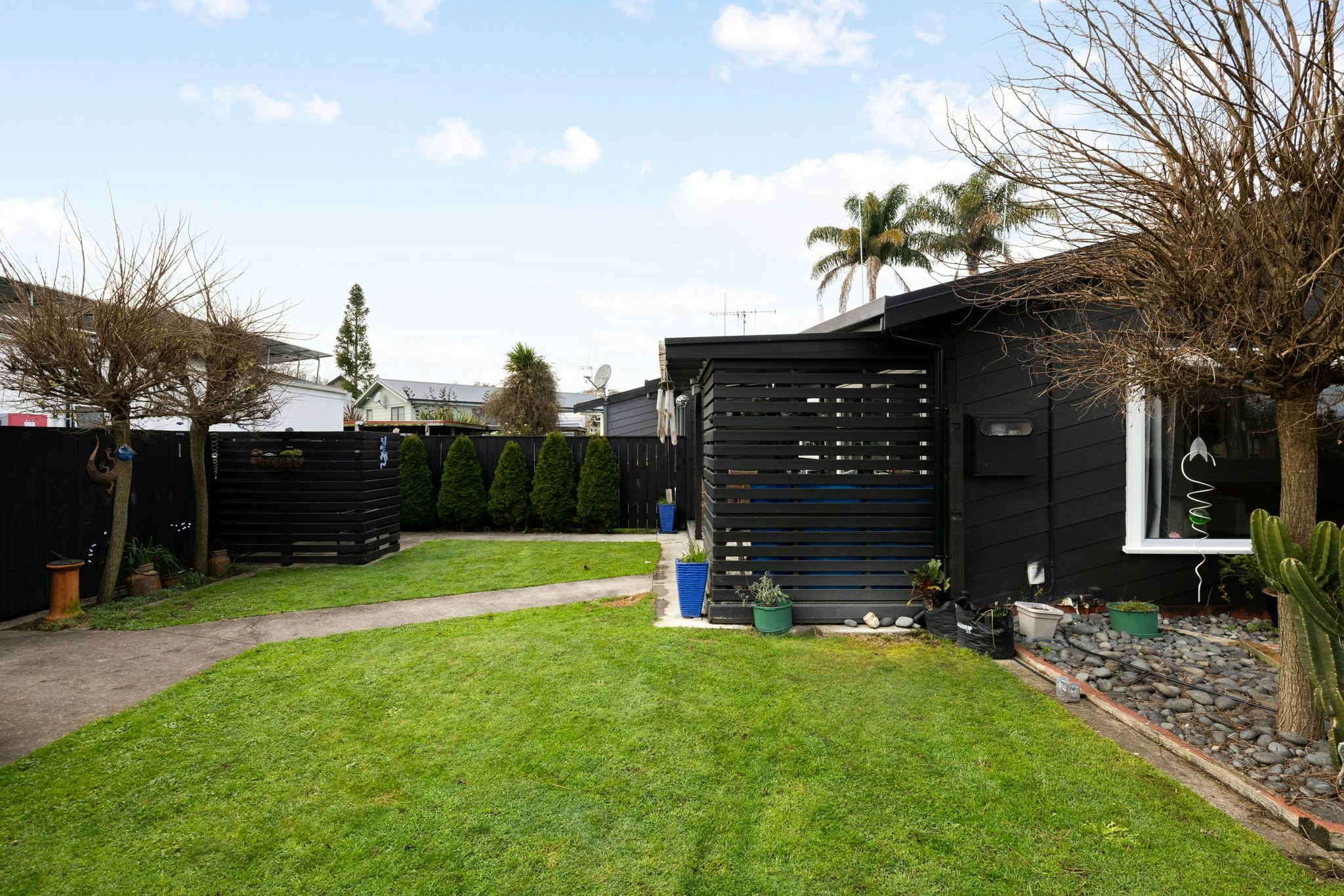 backyard